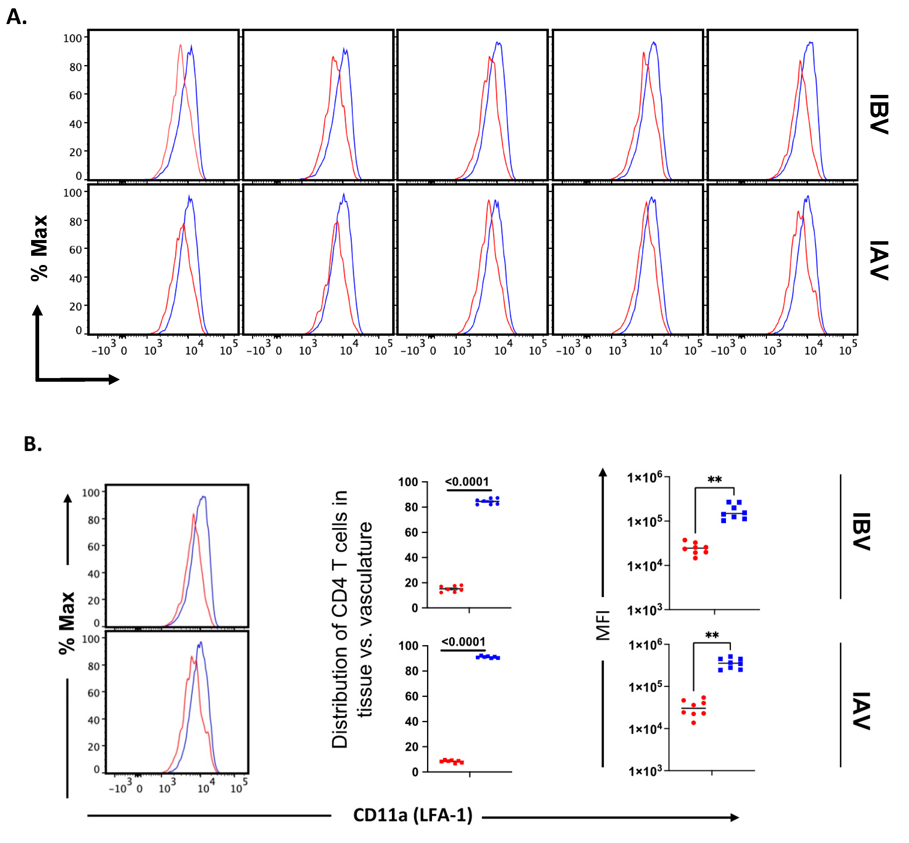 Pathogens 11 00251 g007