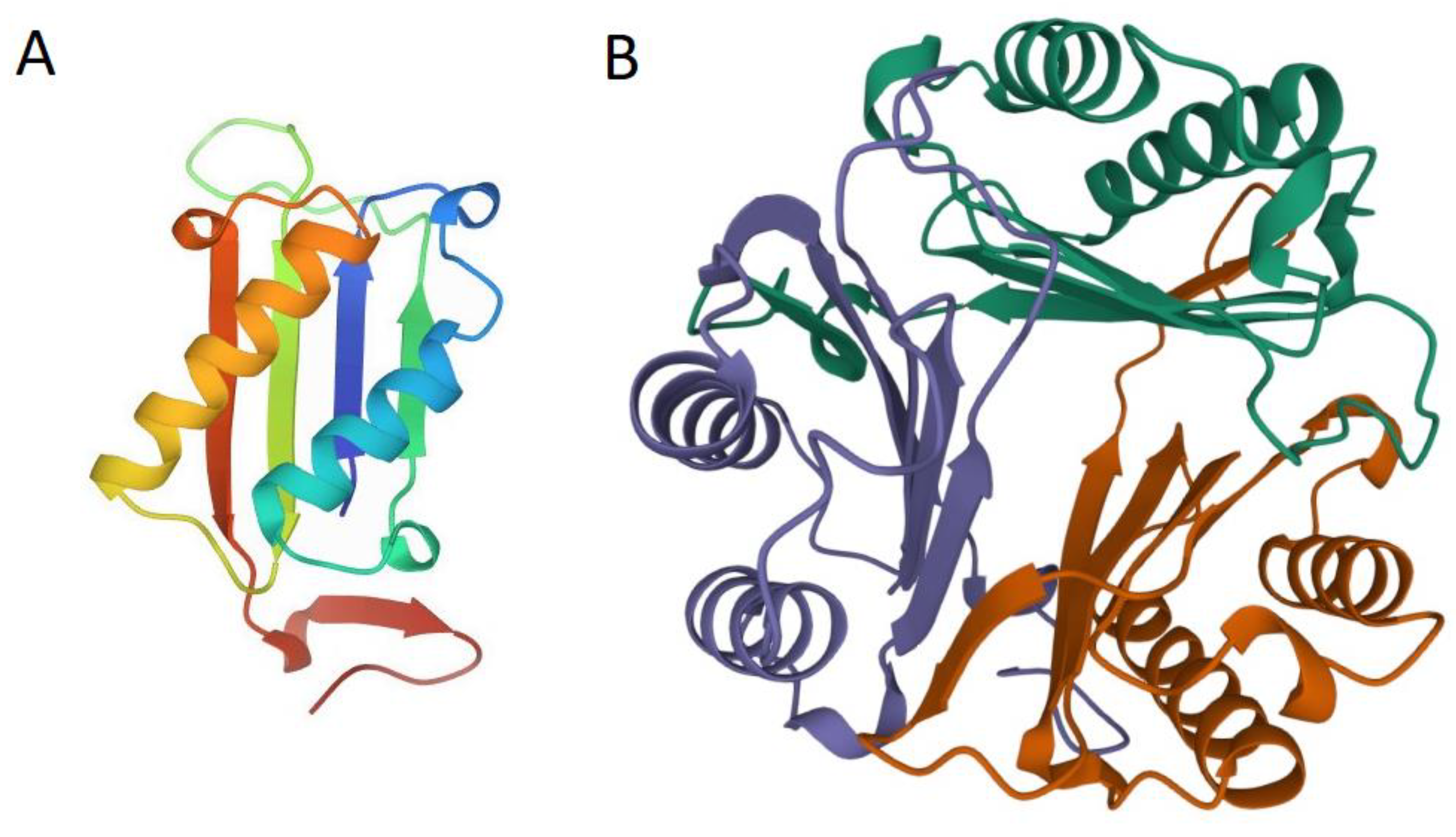 Pathogens 11 00258 g001