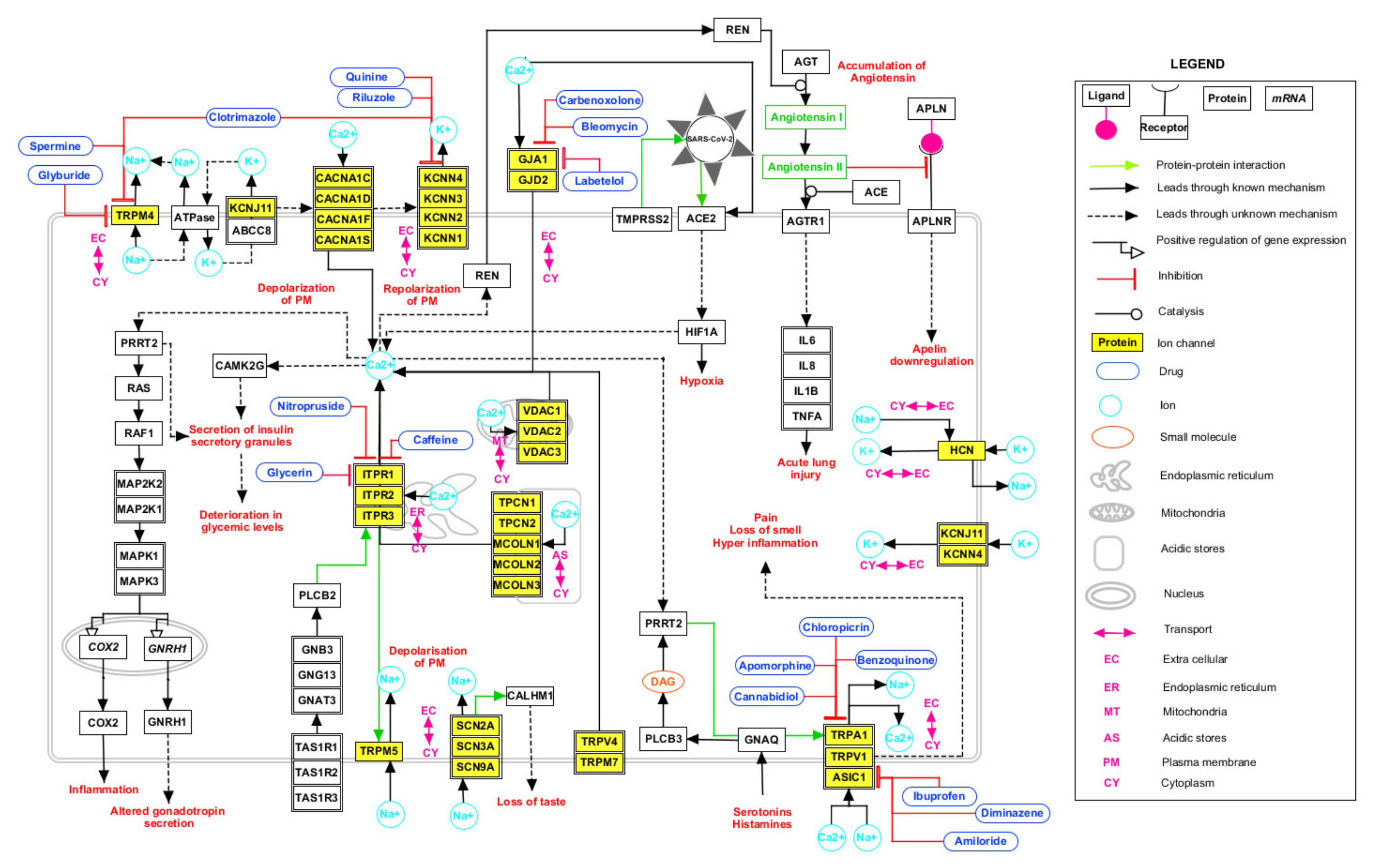 Pathogens 11 00259 g003 550
