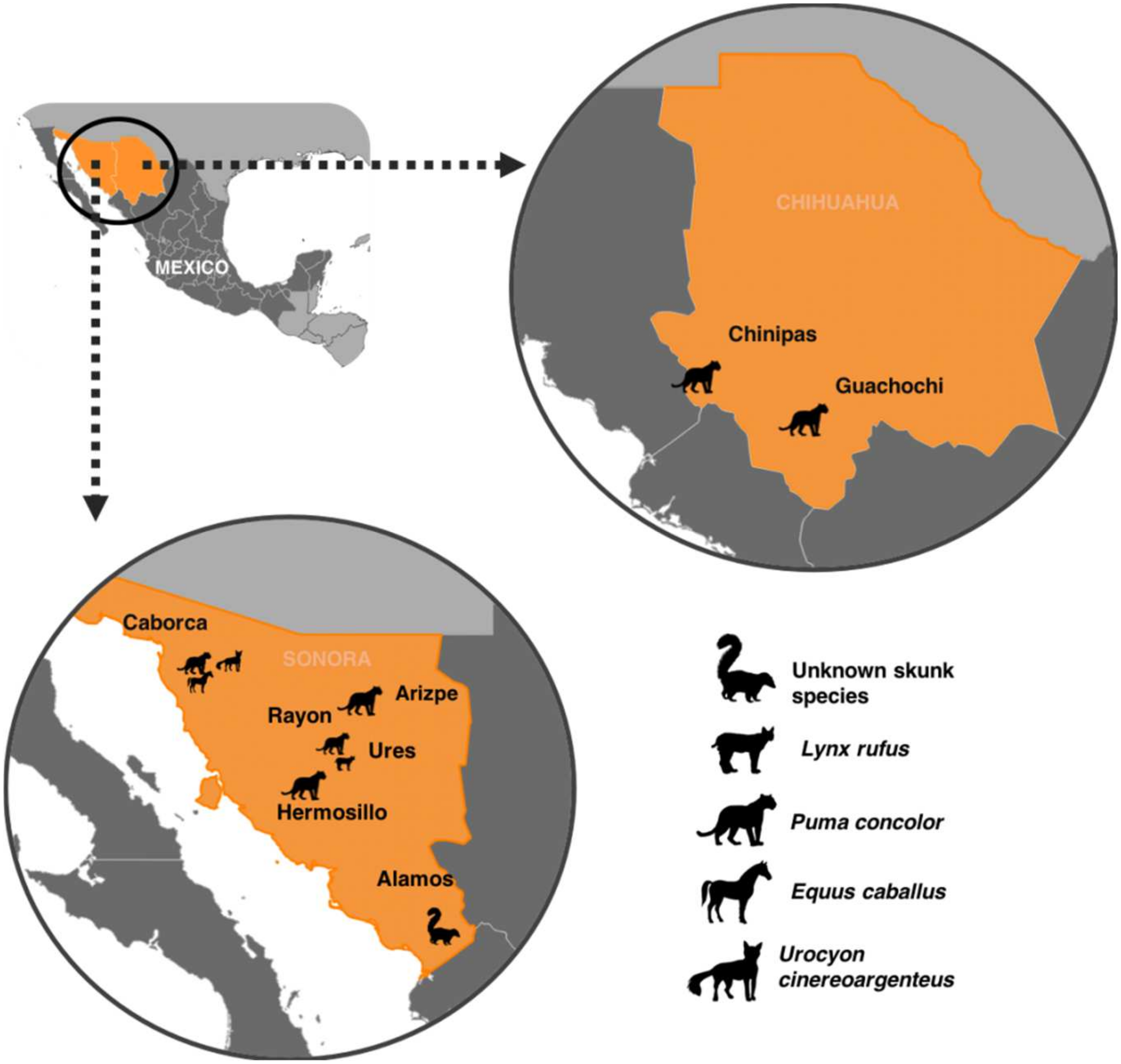 Pathogens 11 00265 g002 550