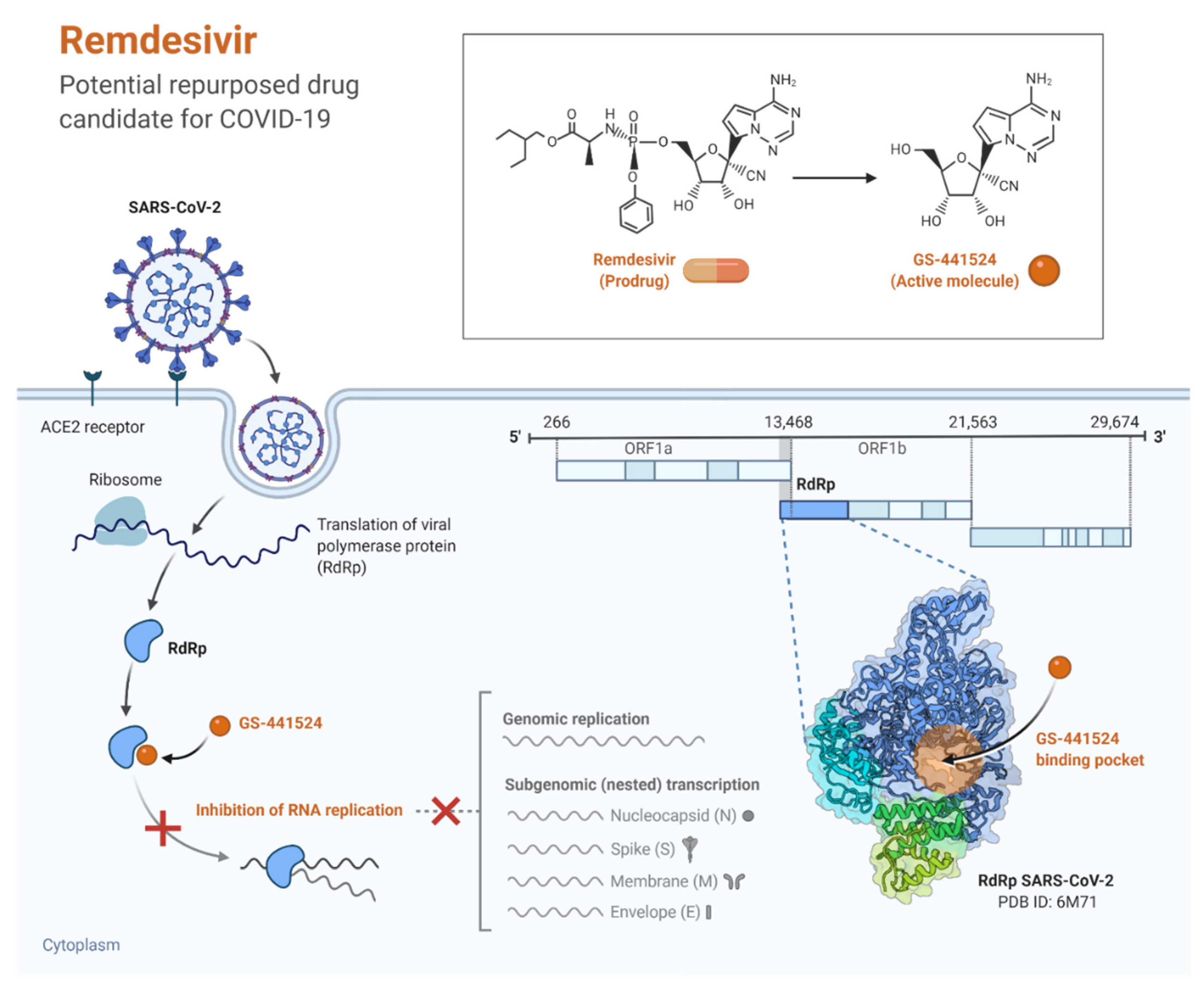 Pathogens 11 00275 g002