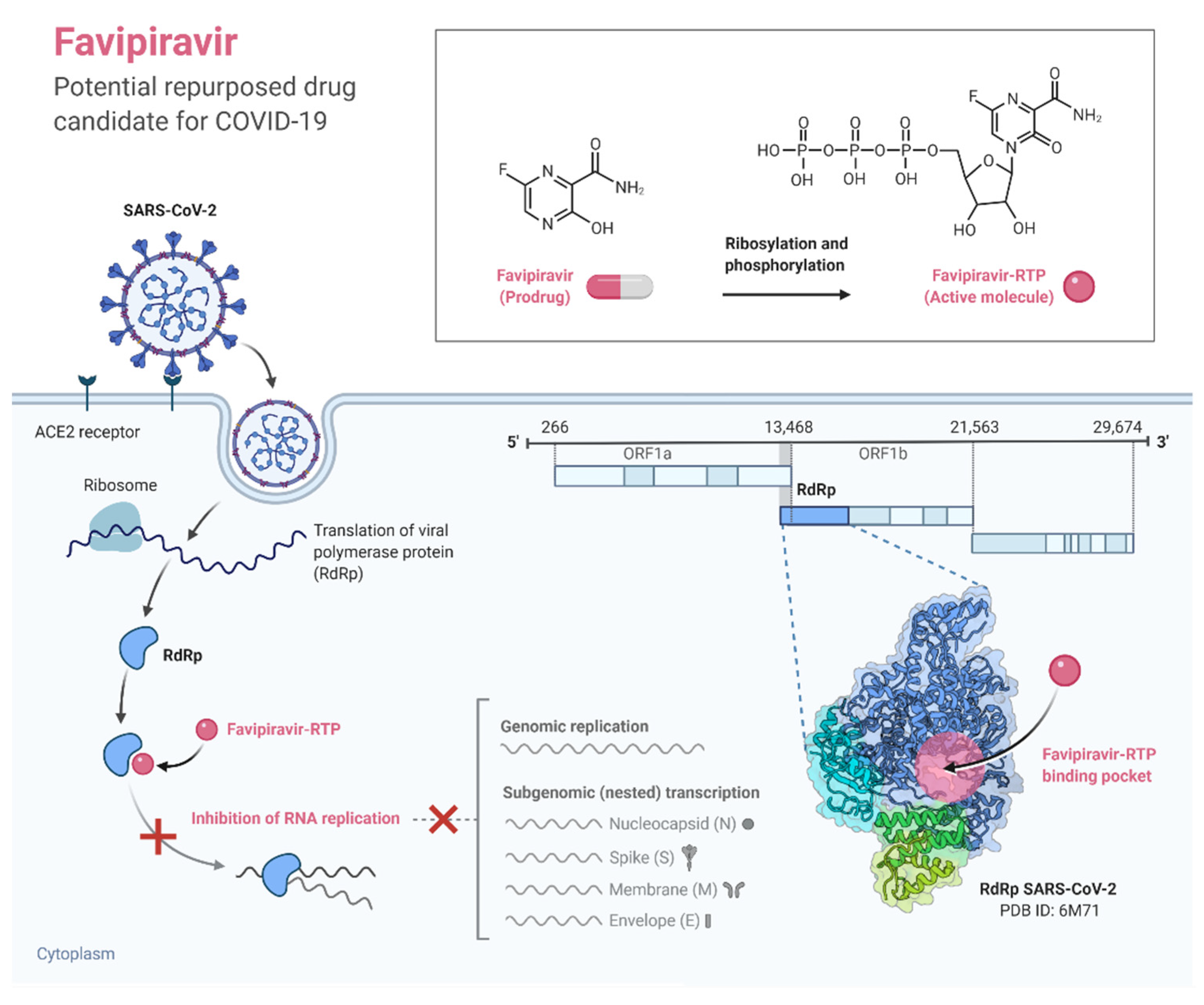 Pathogens 11 00275 g003
