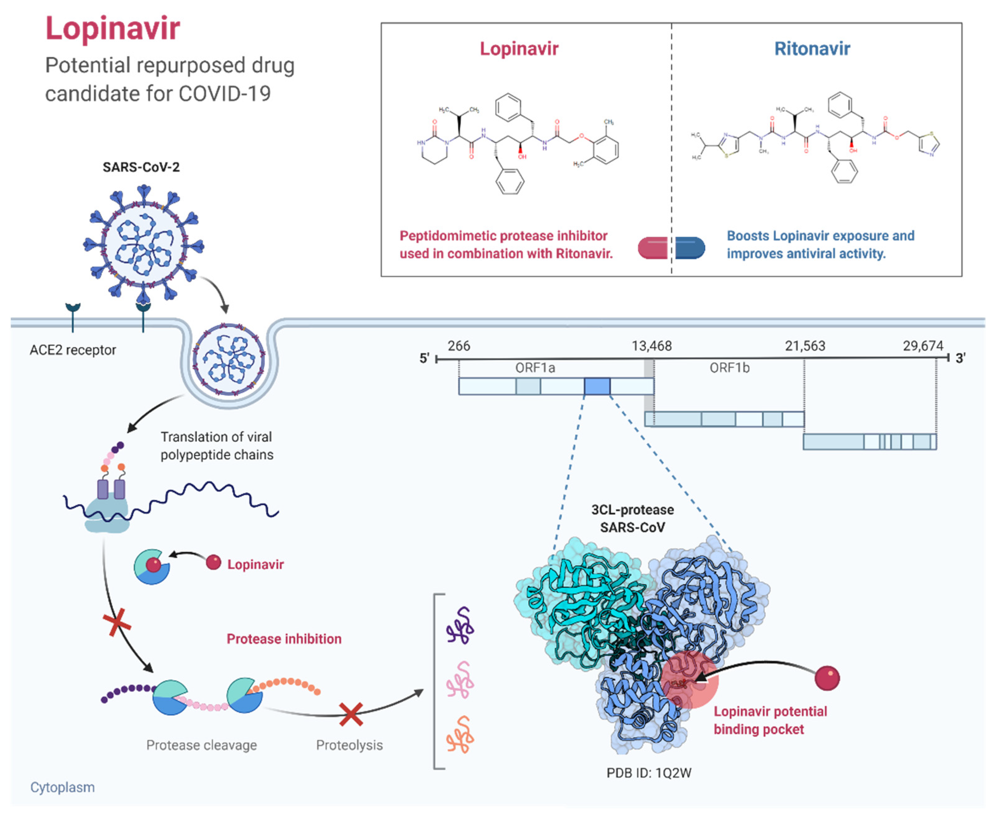 Pathogens 11 00275 g004