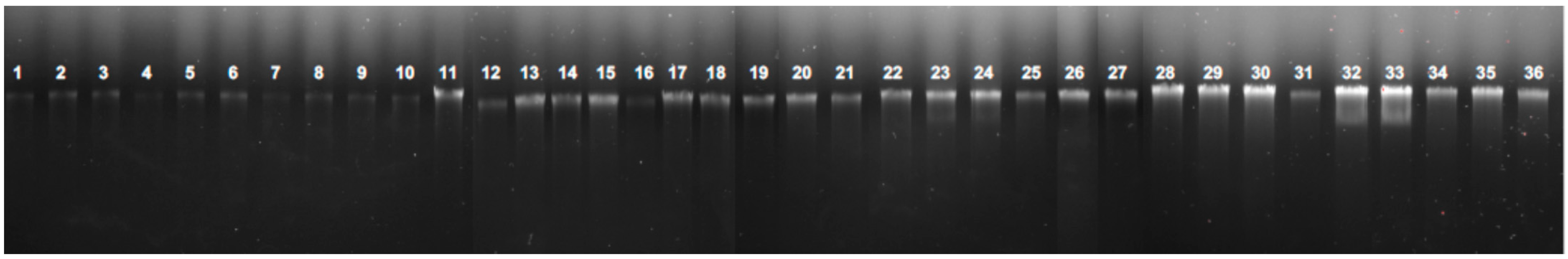 Pathogens 11 00278 g001 550