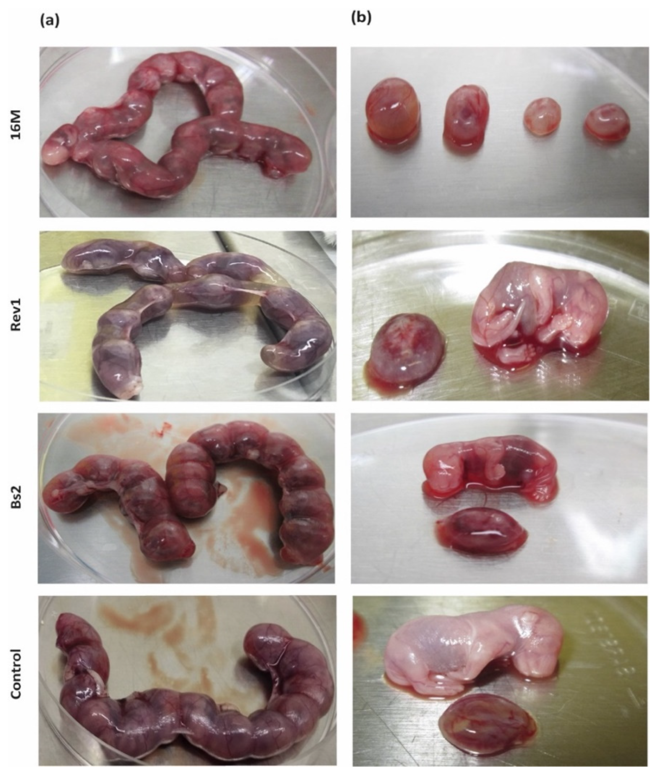 Pathogens 11 00279 g002
