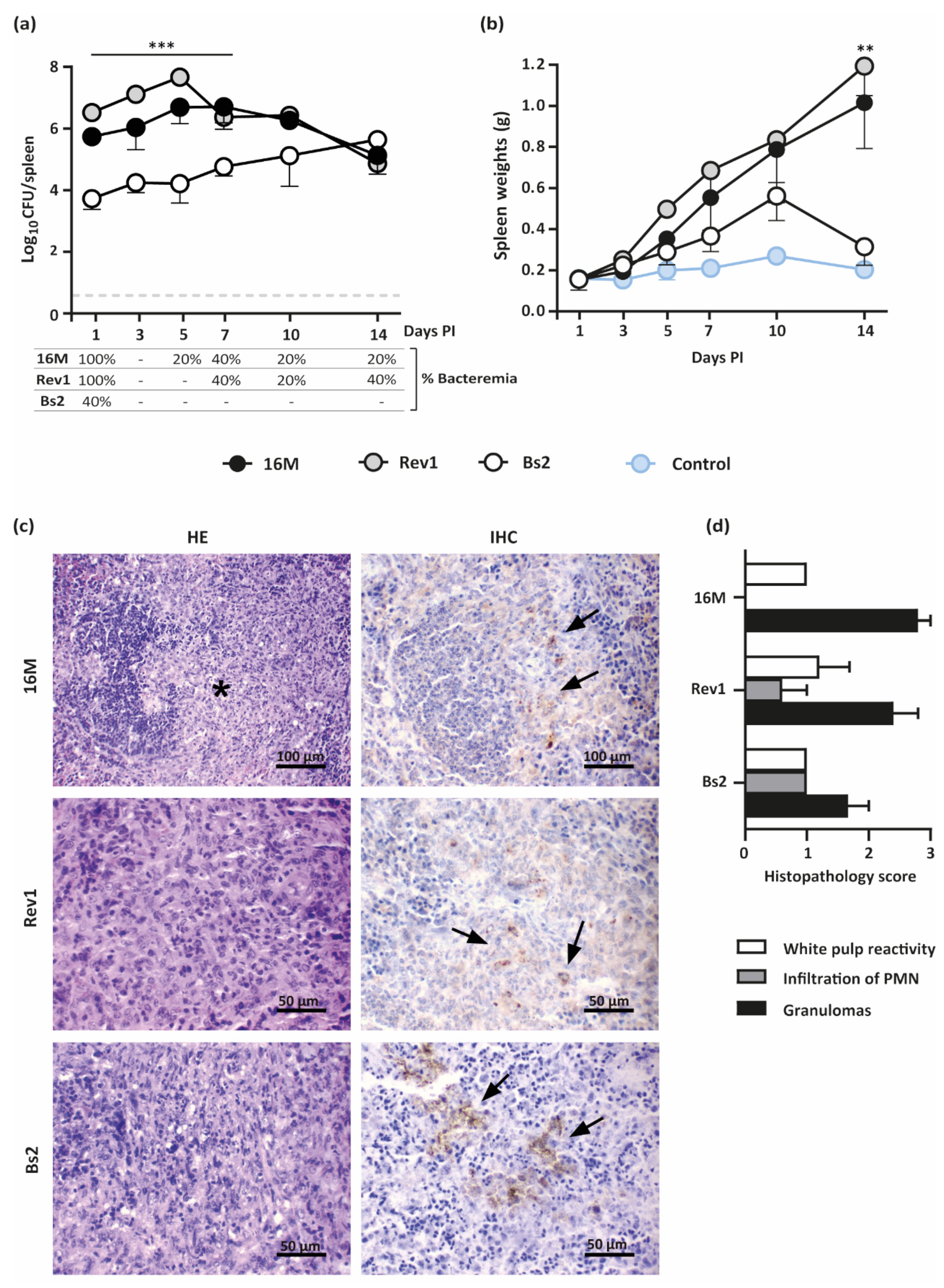 Pathogens 11 00279 g003