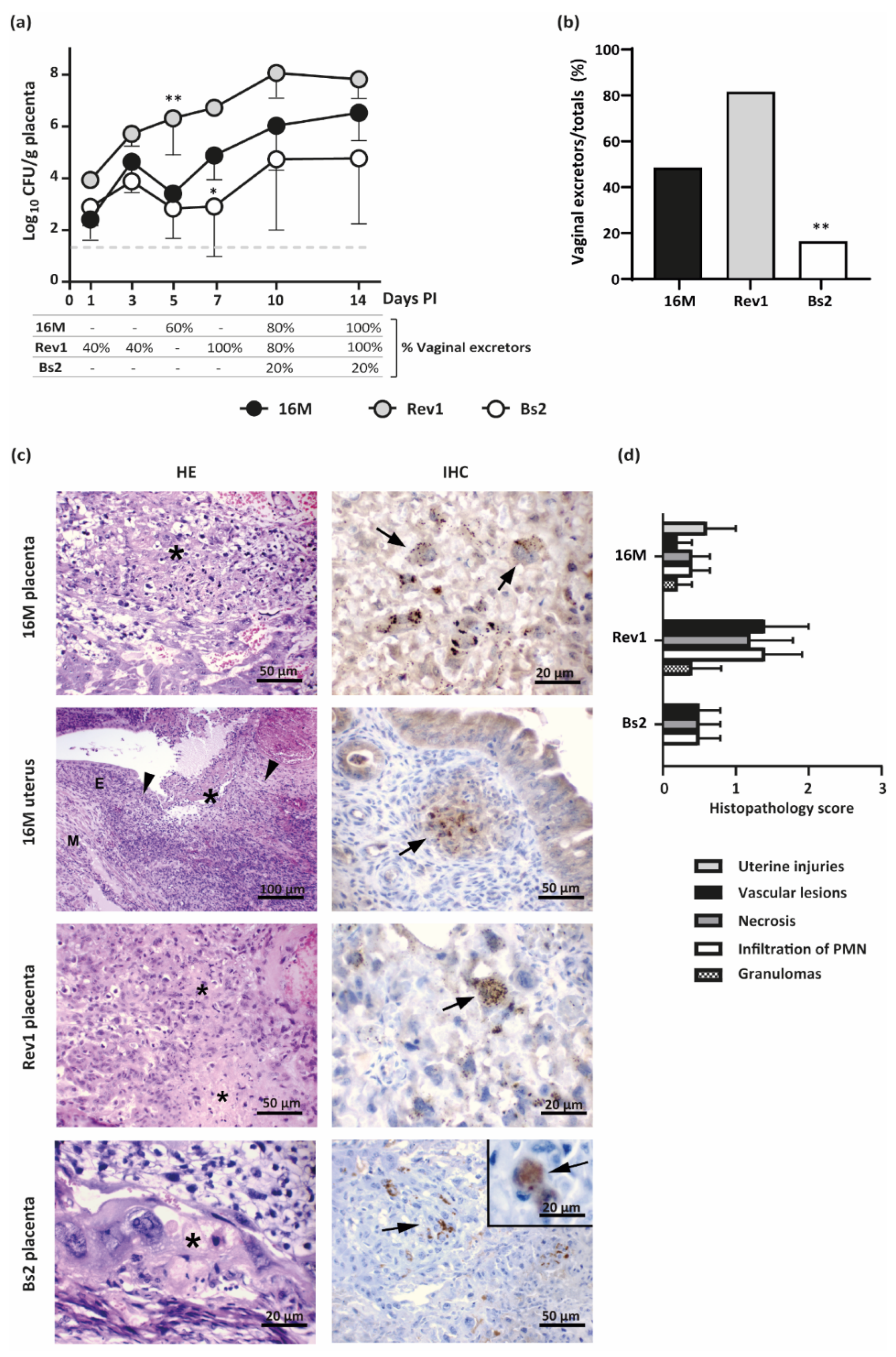 Pathogens 11 00279 g005