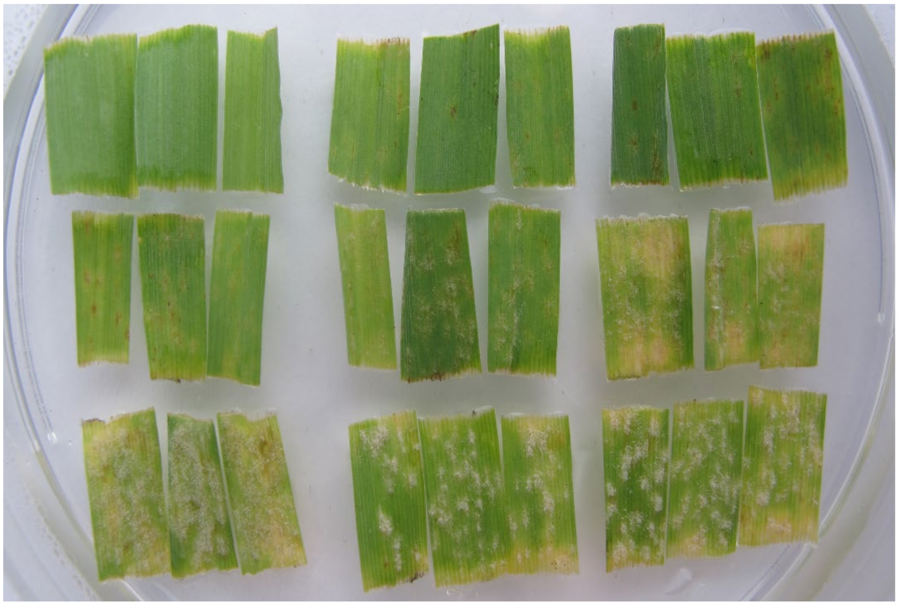 Pathogens 11 00284 g002 Pathogens 11 00284 g002