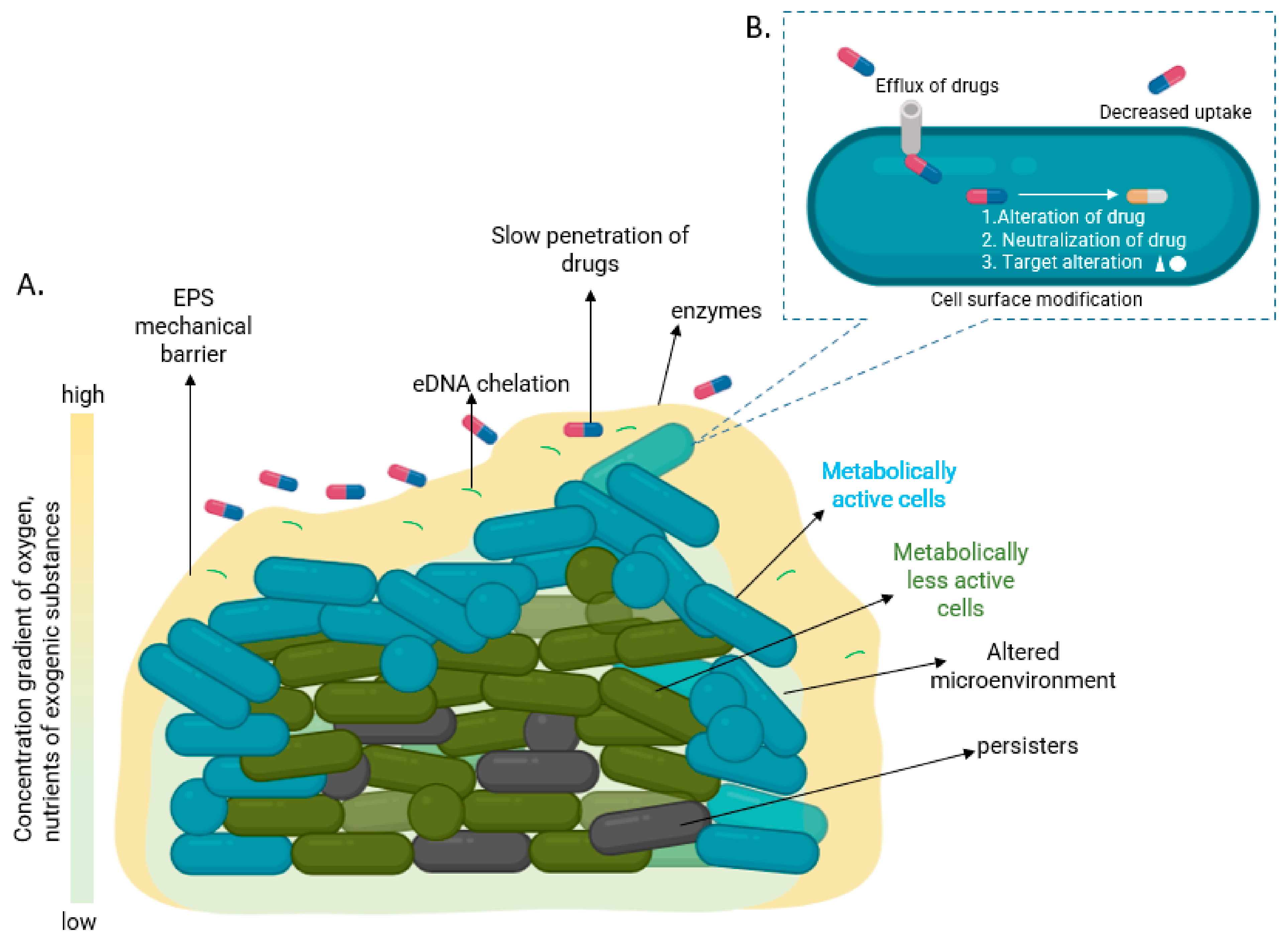 Pathogens 11 00292 g002 550
