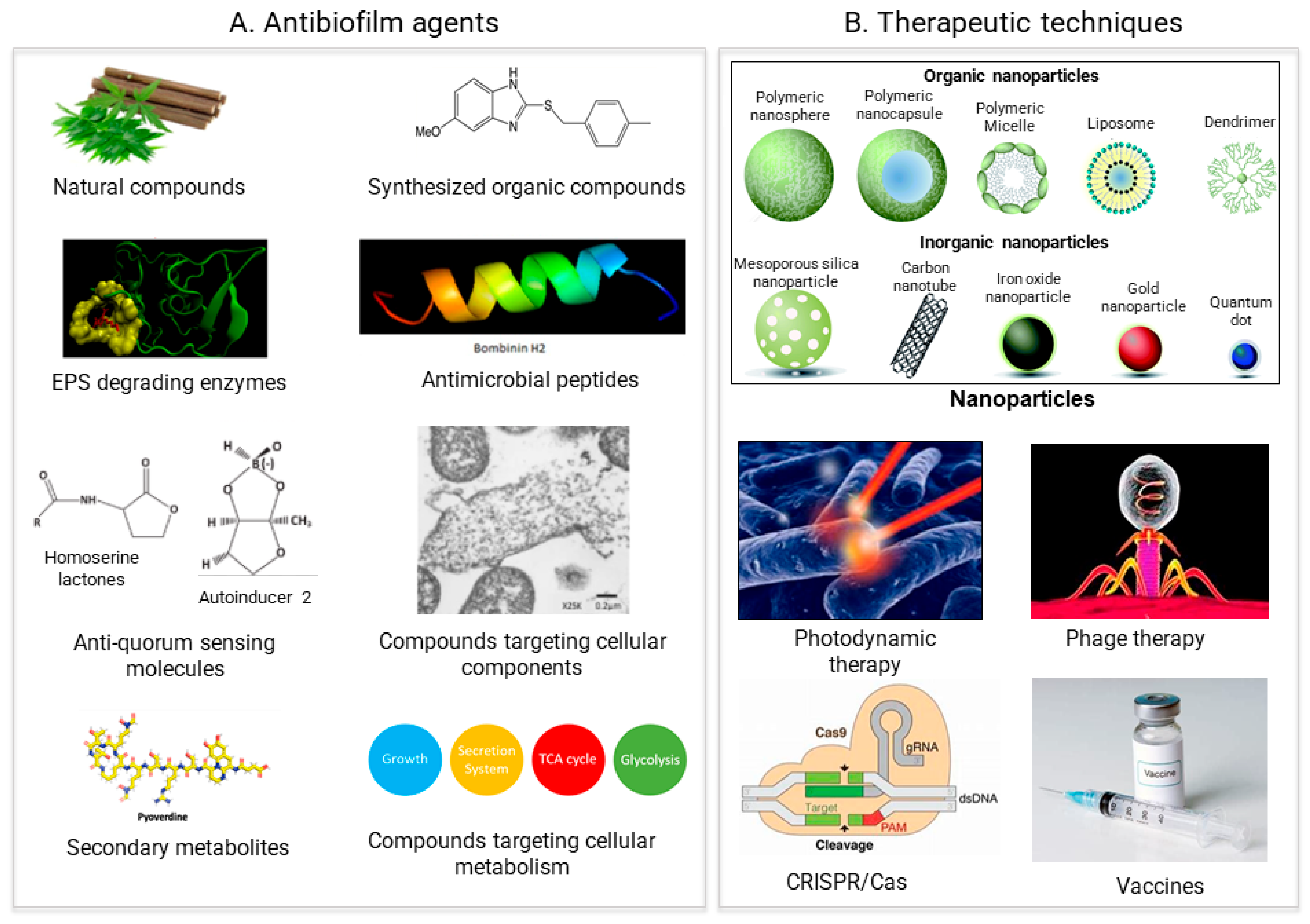 Pathogens 11 00292 g003 550