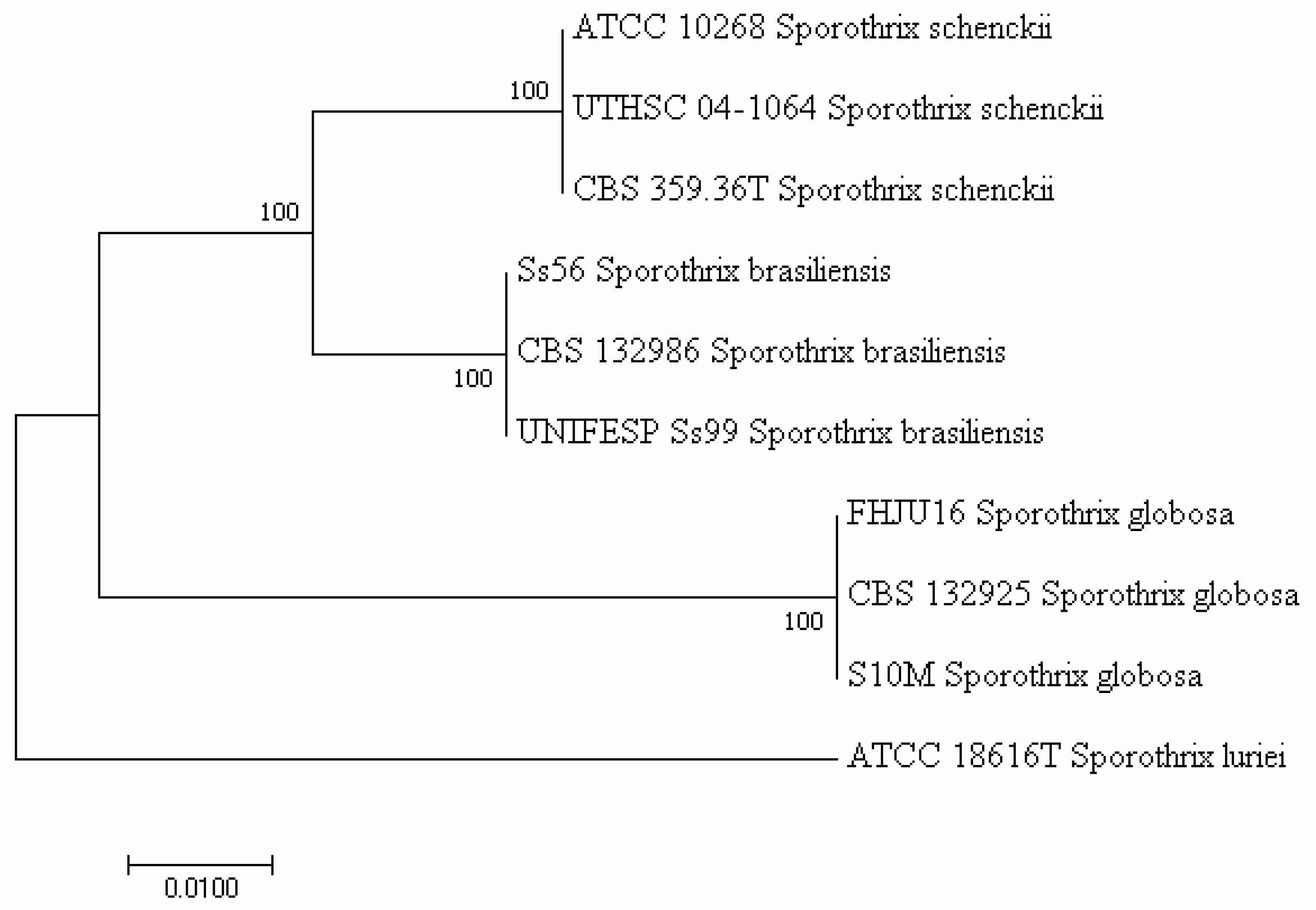 Pathogens 11 00297 g001