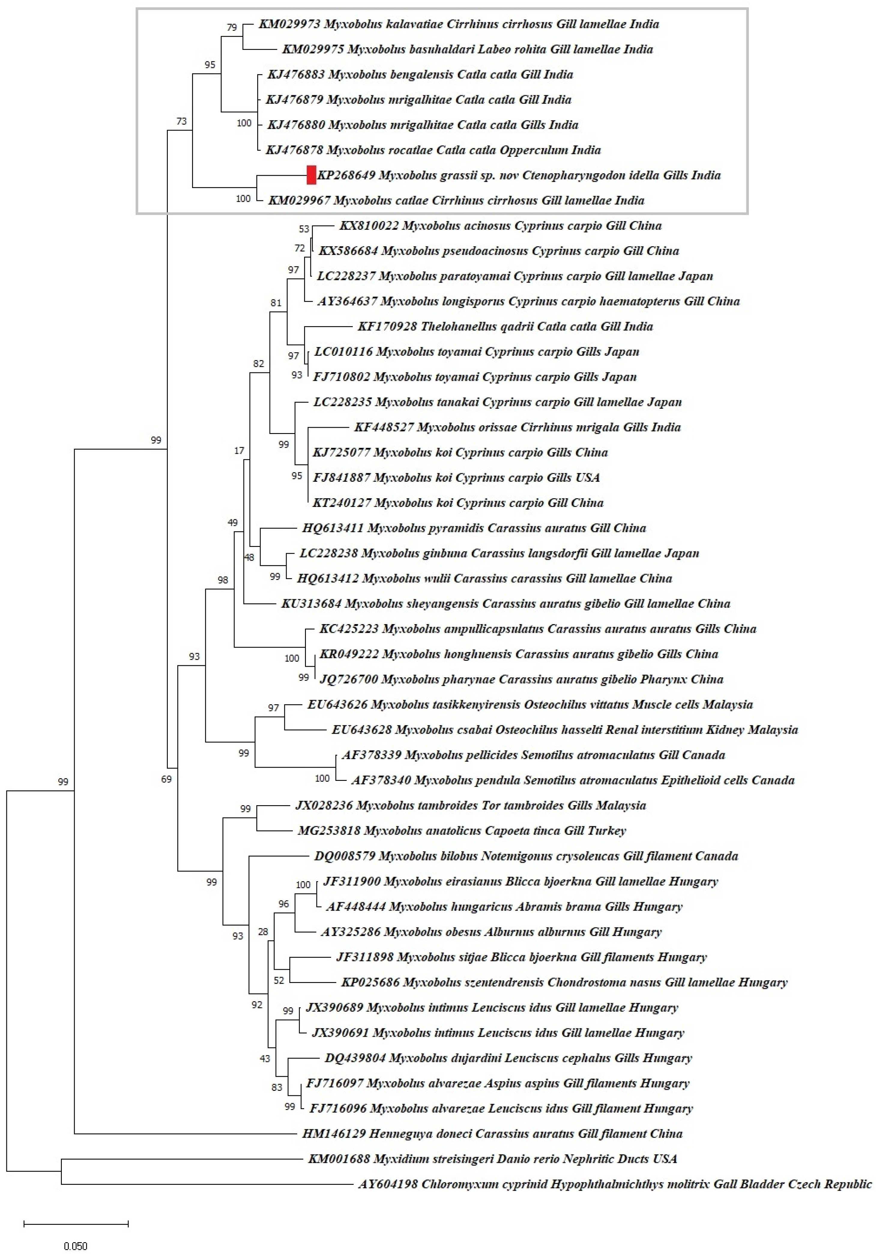 Pathogens 11 00303 g003