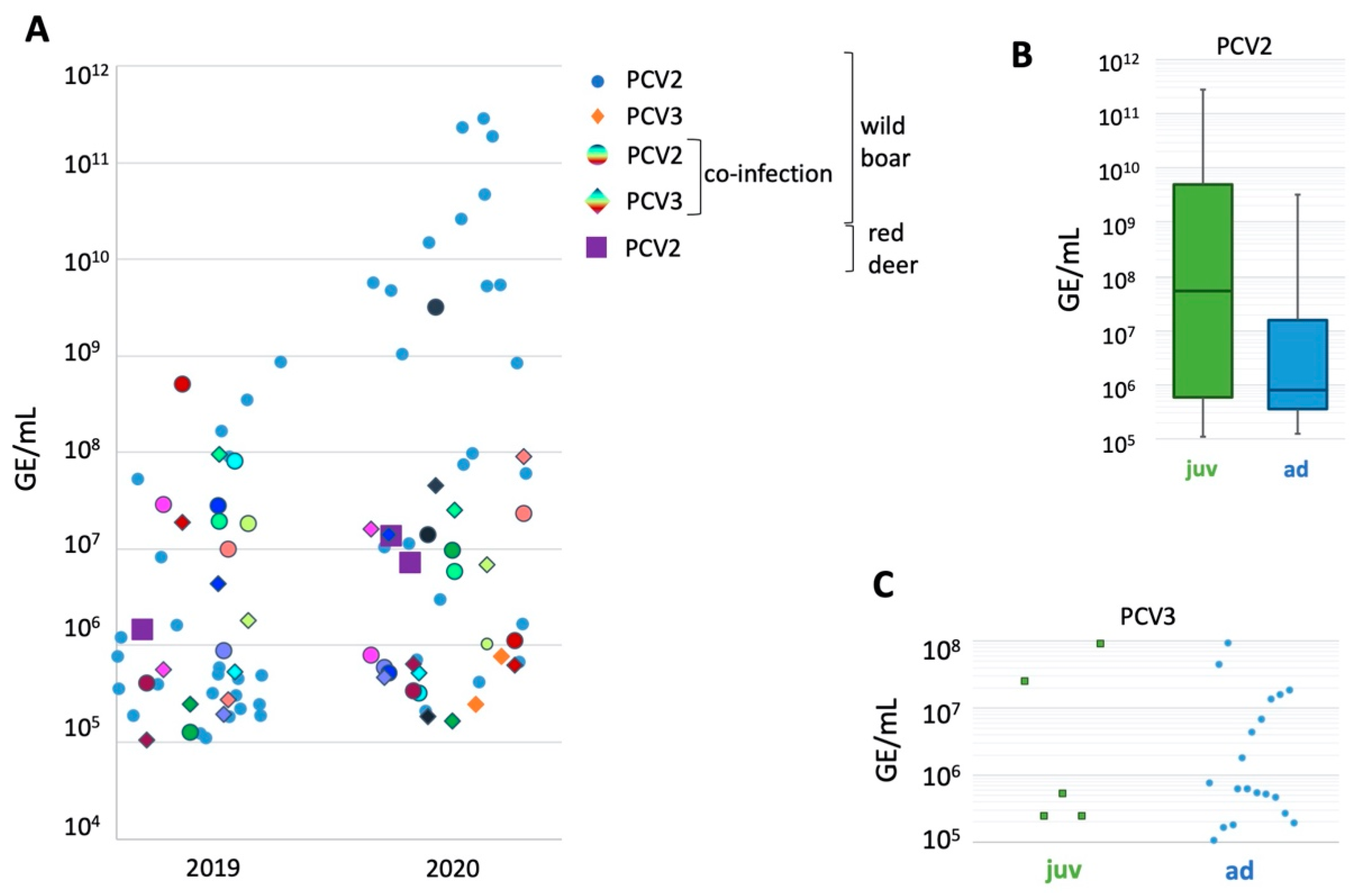 Pathogens 11 00305 g001 Pathogens 11 00305 g001