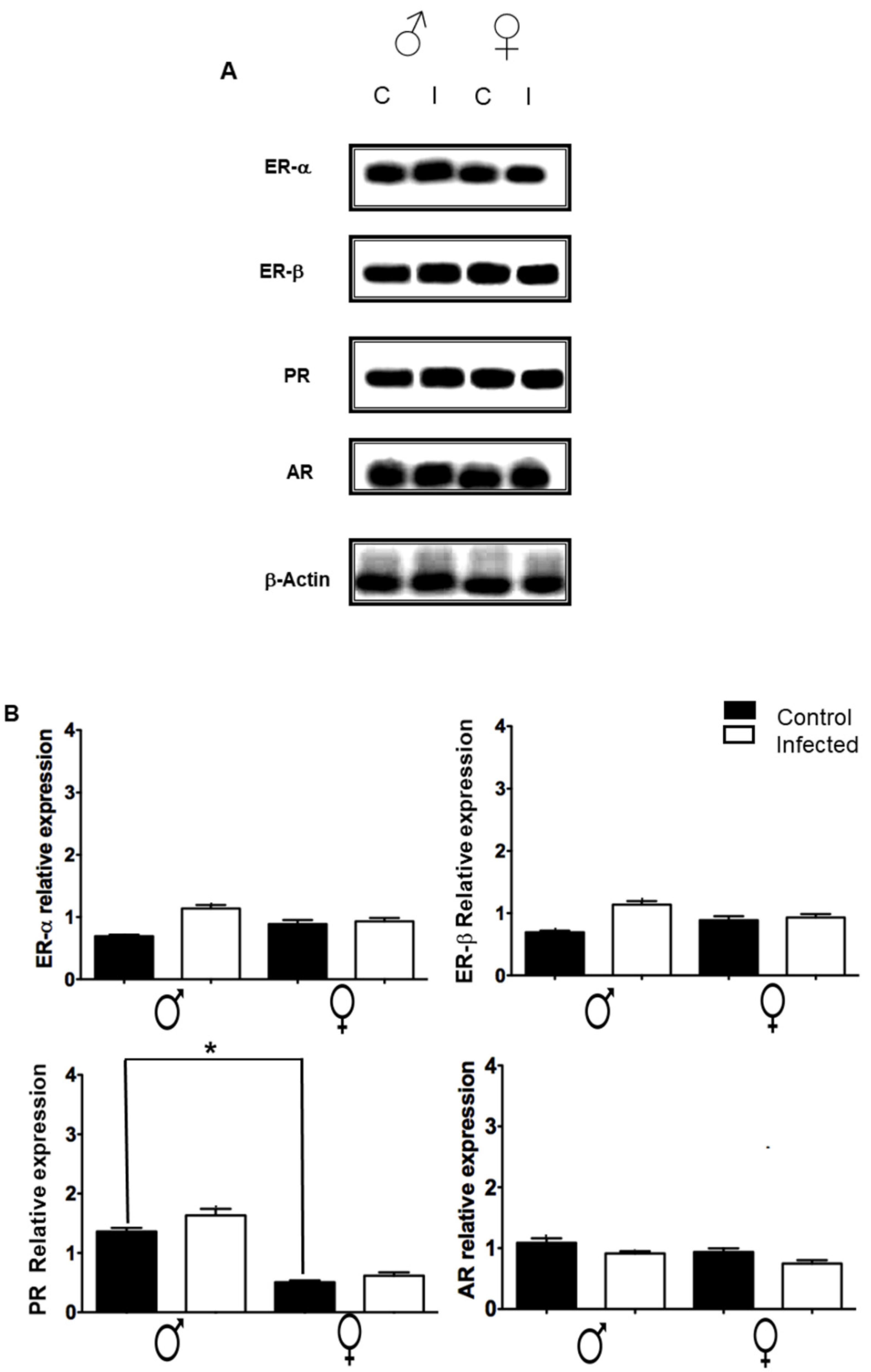 Pathogens 11 00308 g006 Pathogens 11 00308 g006