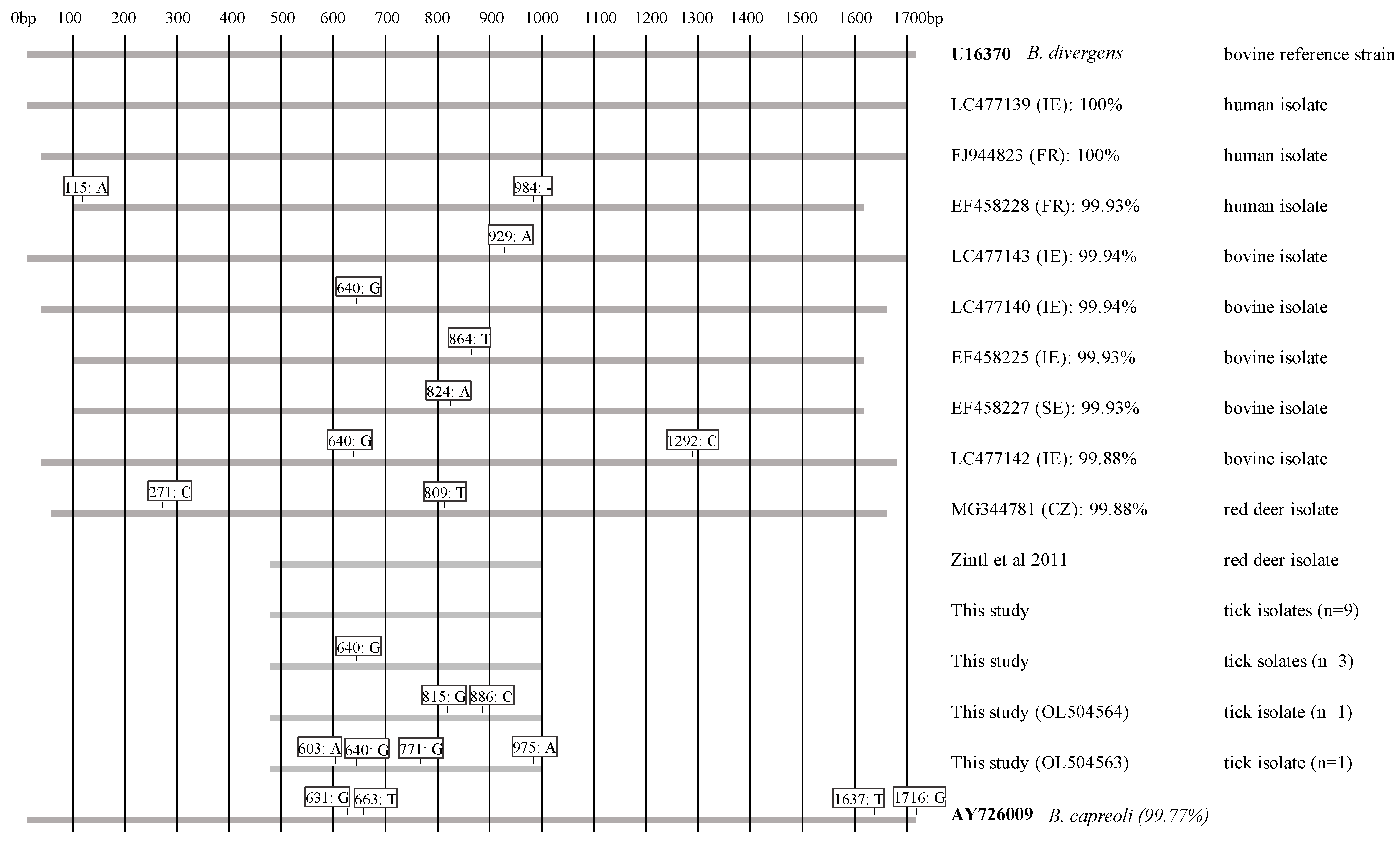 Pathogens 11 00312 g001