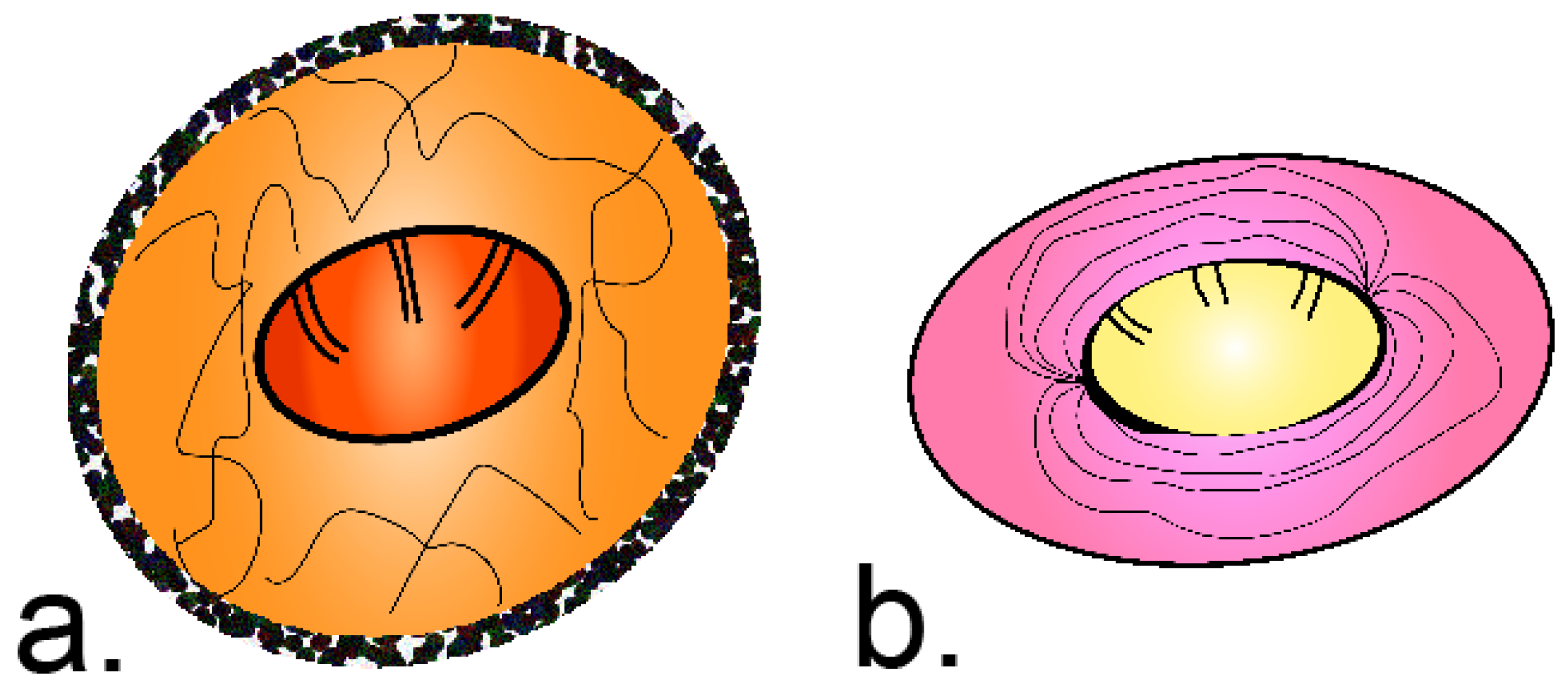 Pathogens 11 00322 g001