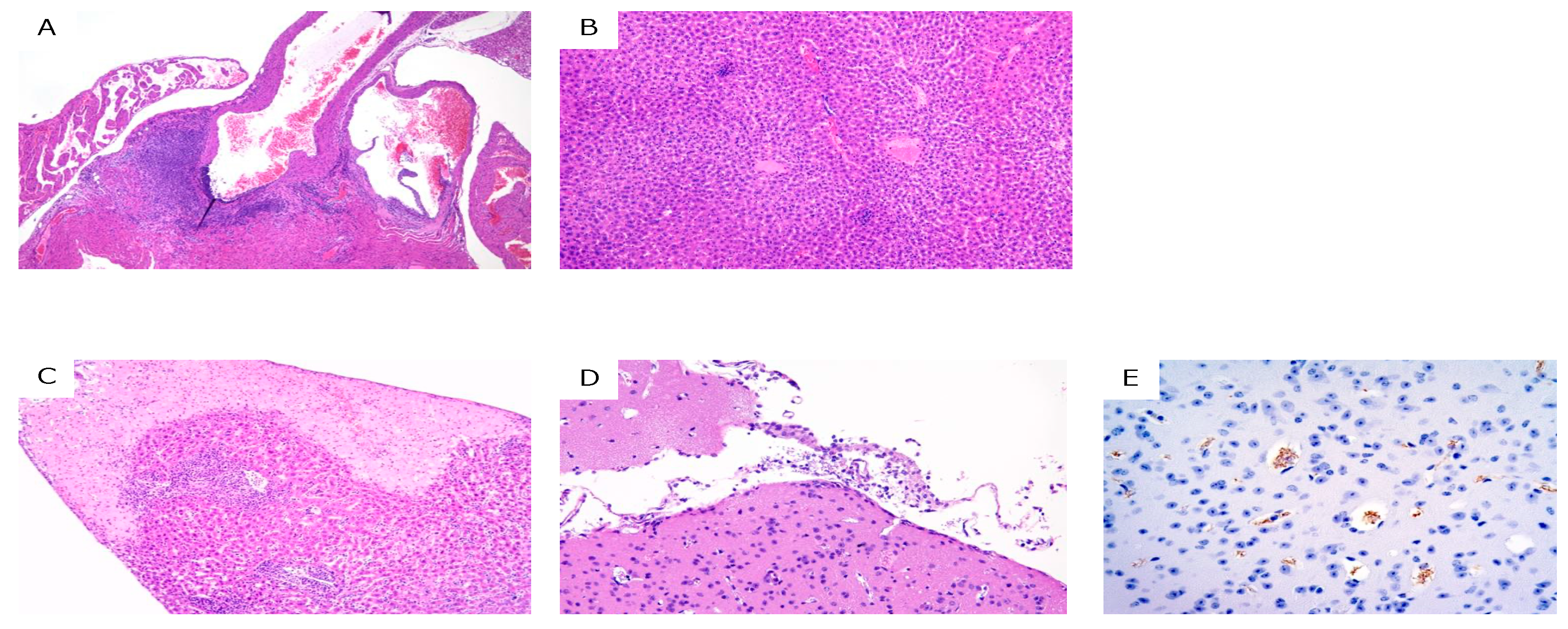 Pathogens 11 00331 g003 550