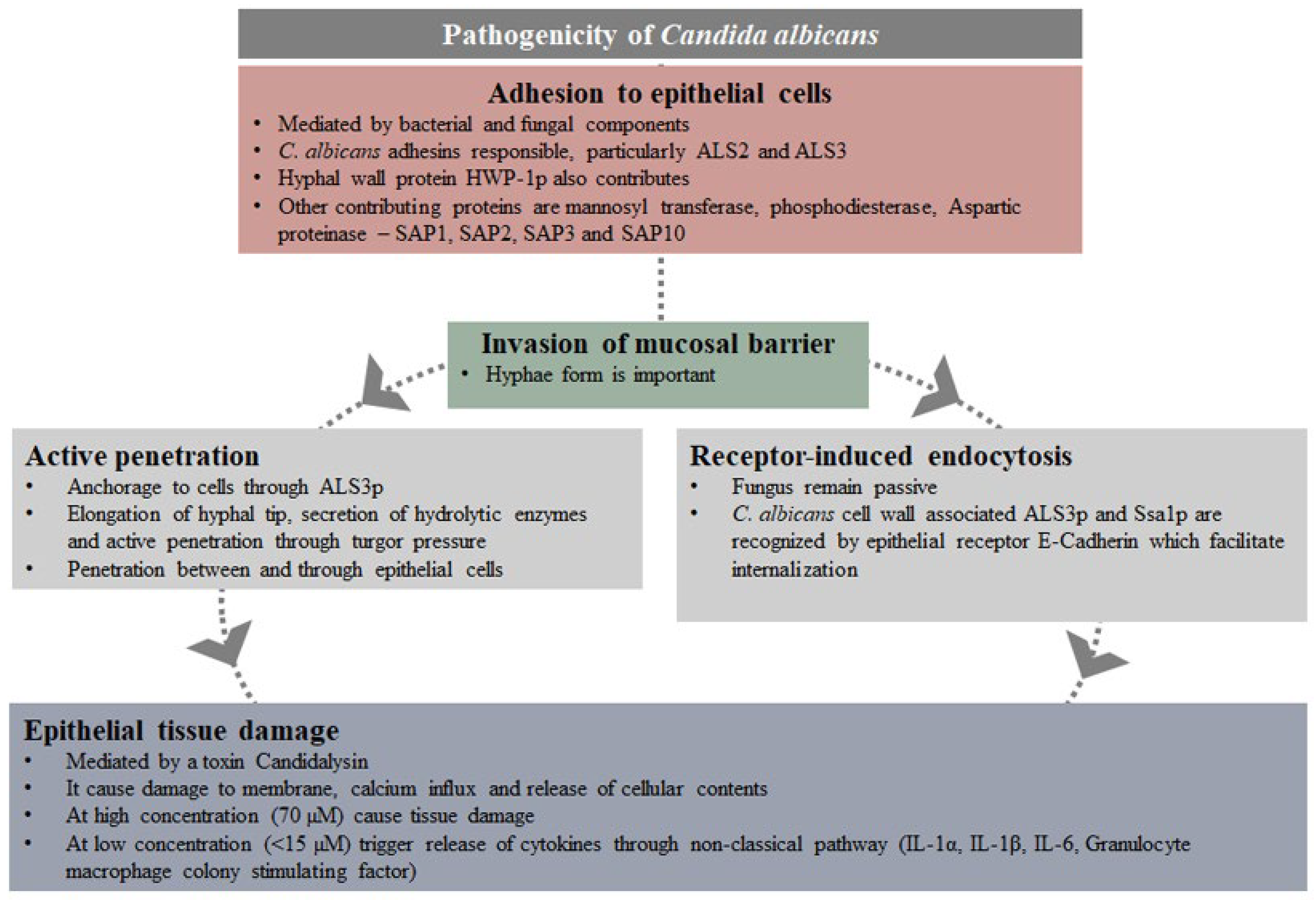 Pathogens 11 00335 g001 550