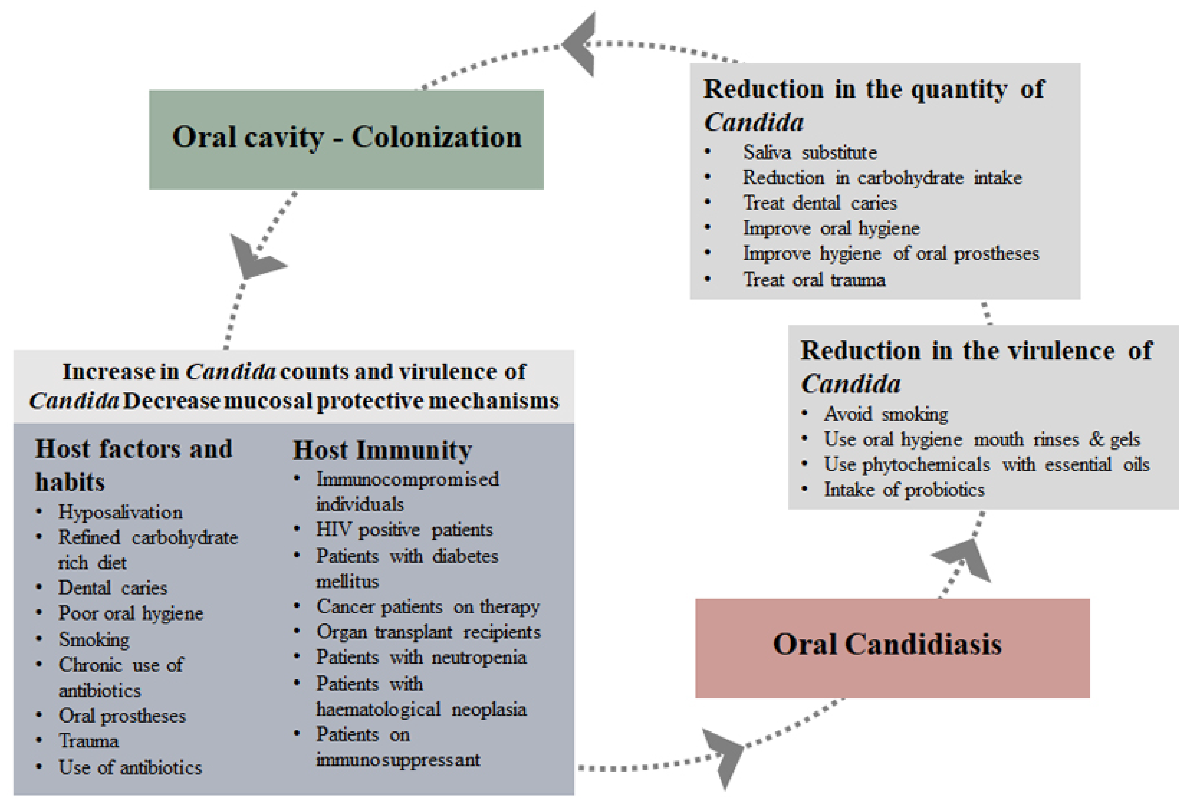 Oral Cavity and Candida albicans | Encyclopedia MDPI