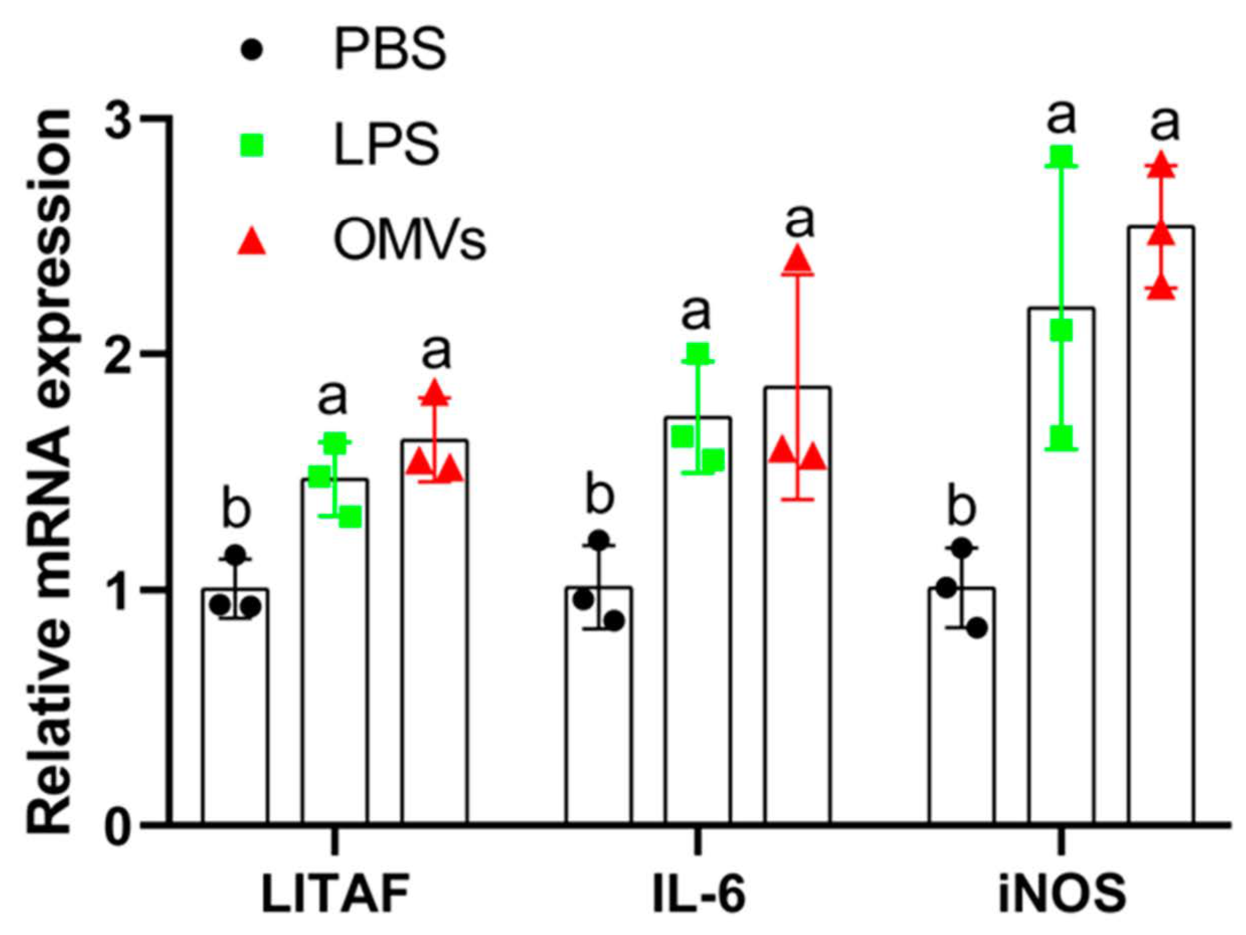 Pathogens 11 00339 g003 Pathogens 11 00339 g003
