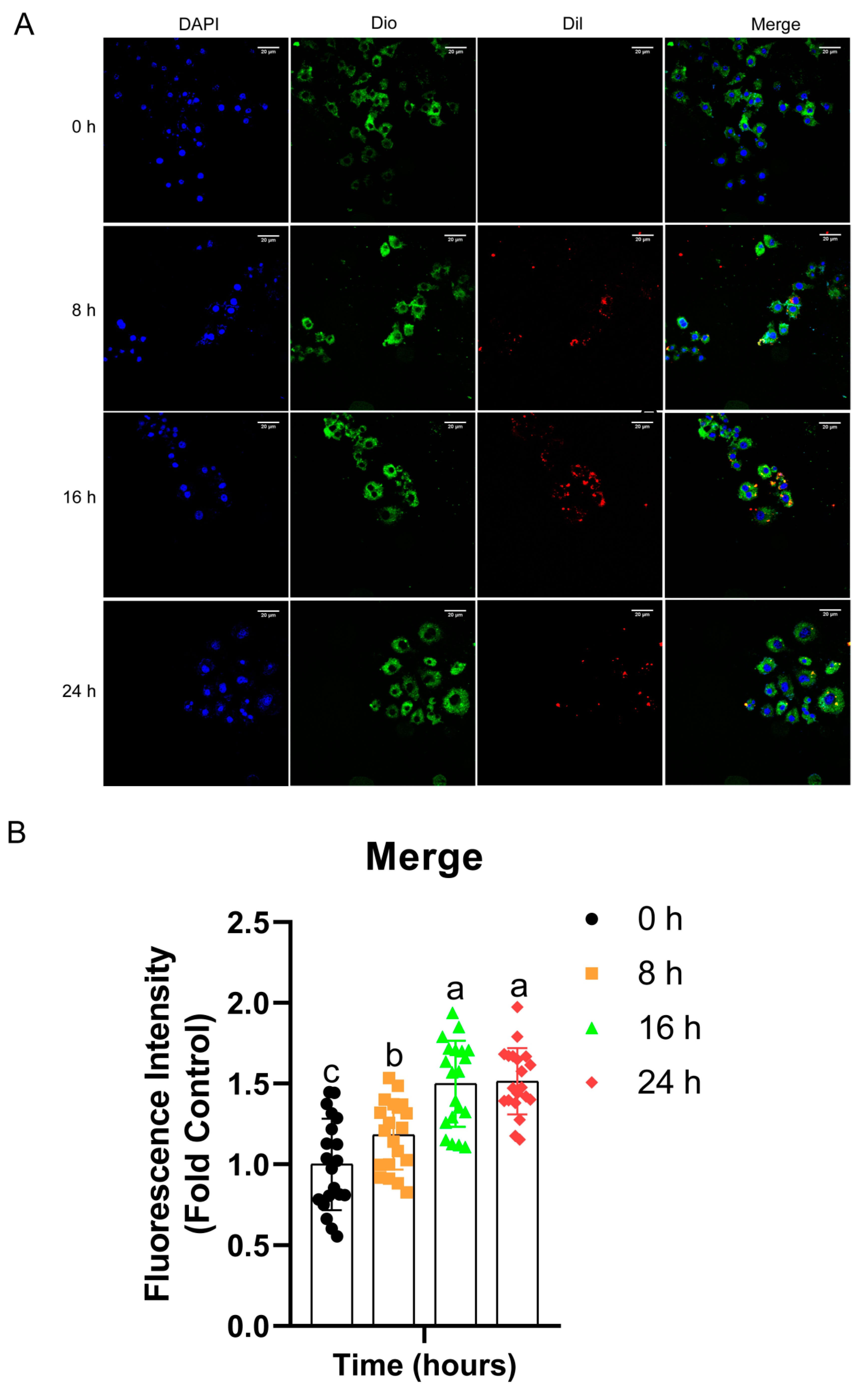 Pathogens 11 00339 g004 Pathogens 11 00339 g004