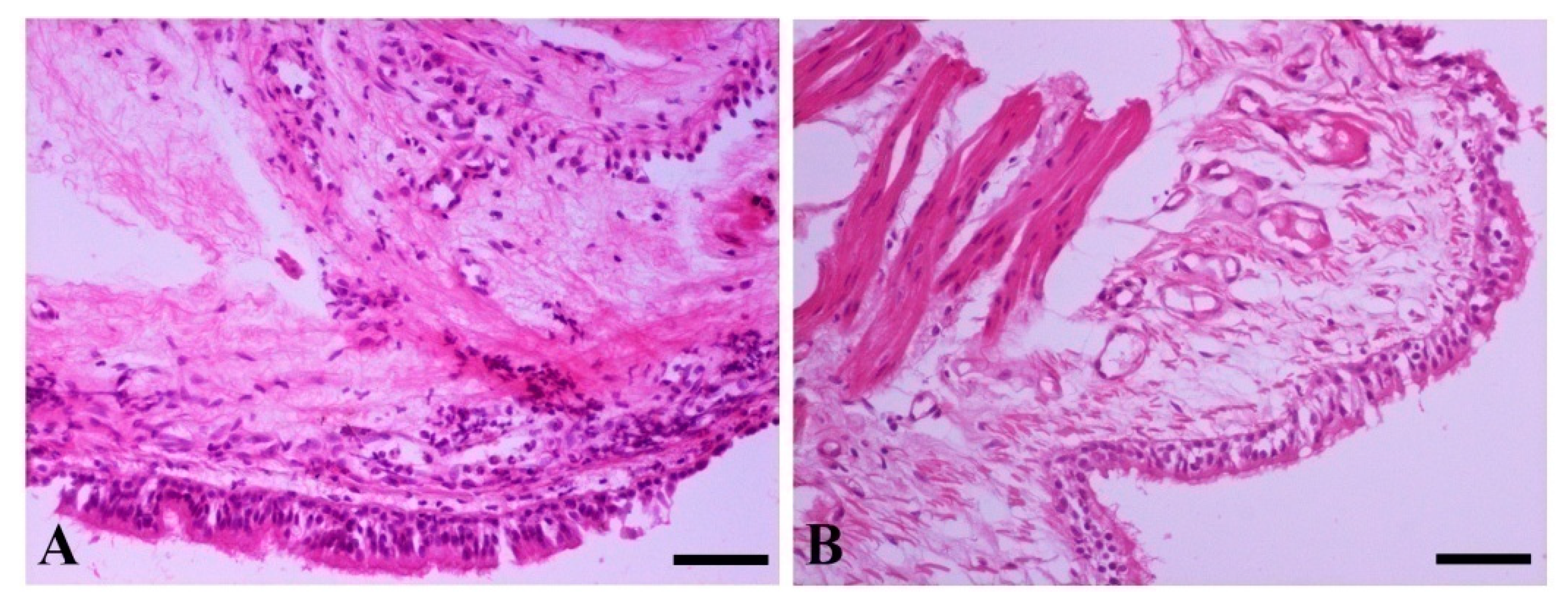 Pathogens 11 00365 g003