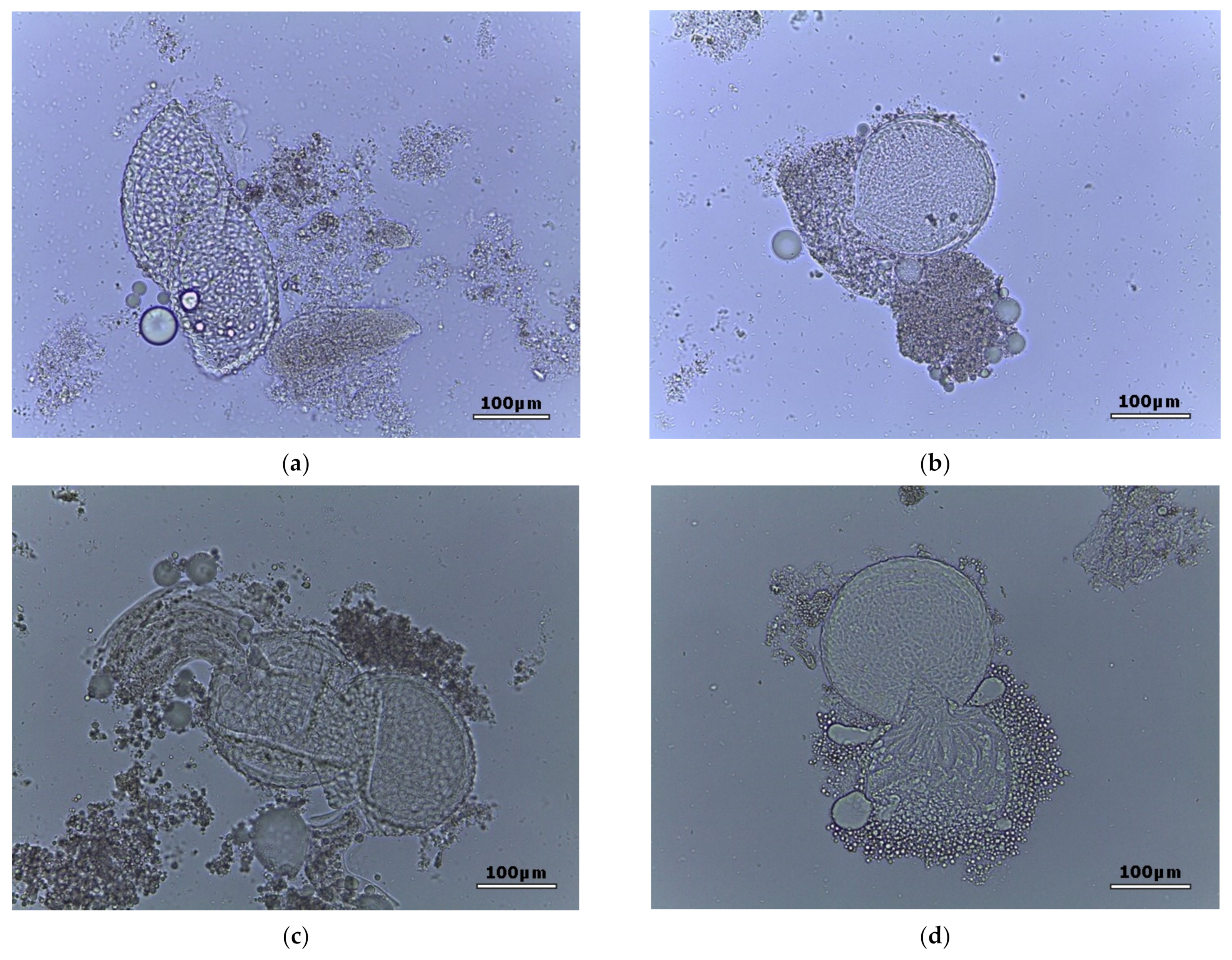 Pathogens 11 00367 g001 550