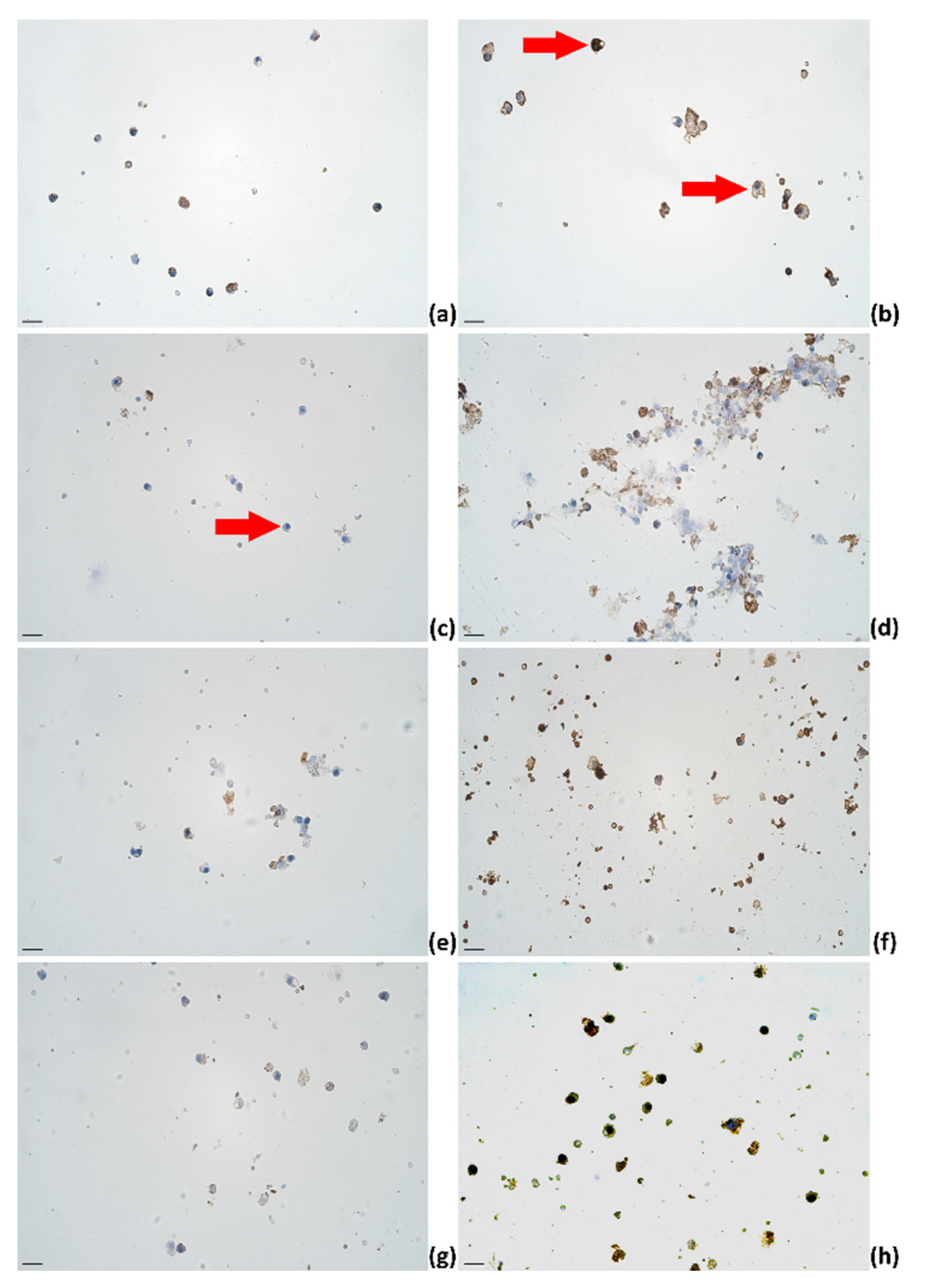 Pathogens 11 00372 g003 550