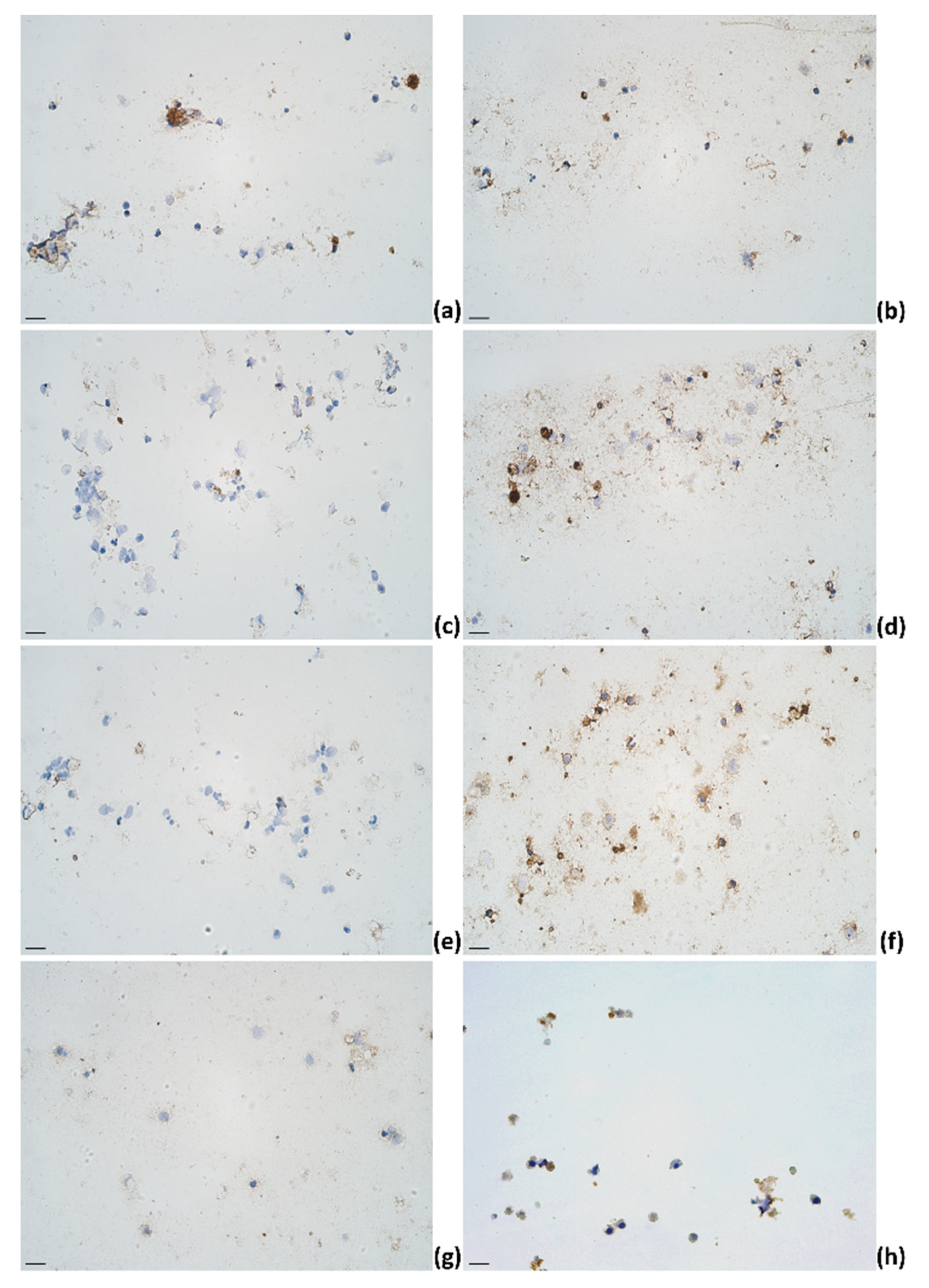 Pathogens 11 00372 g004 550