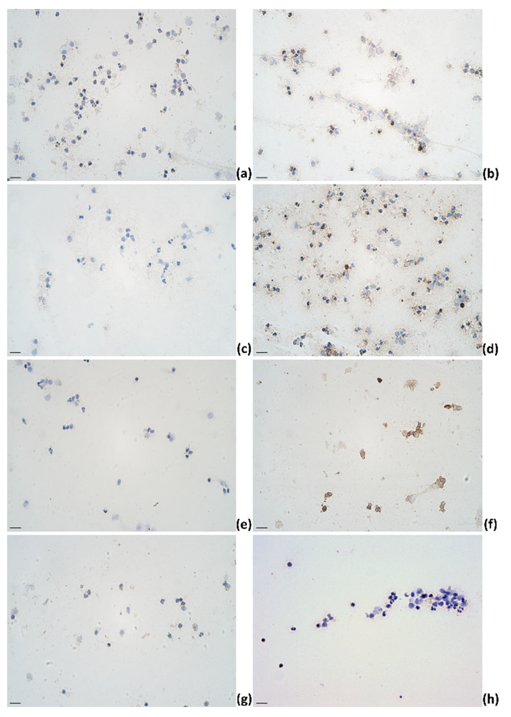 Pathogens 11 00372 g005 550