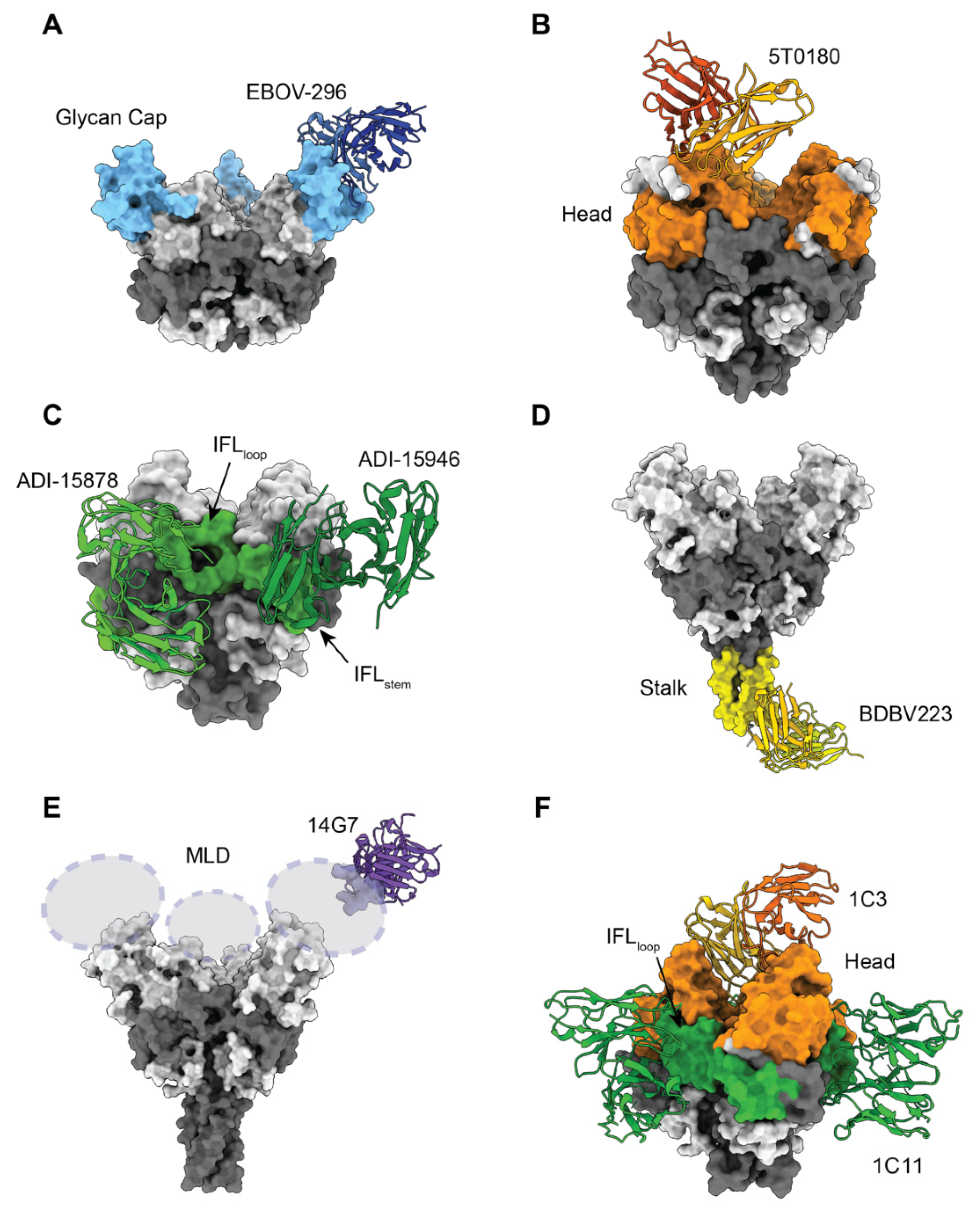 Pathogens 11 00374 g003 Pathogens 11 00374 g003