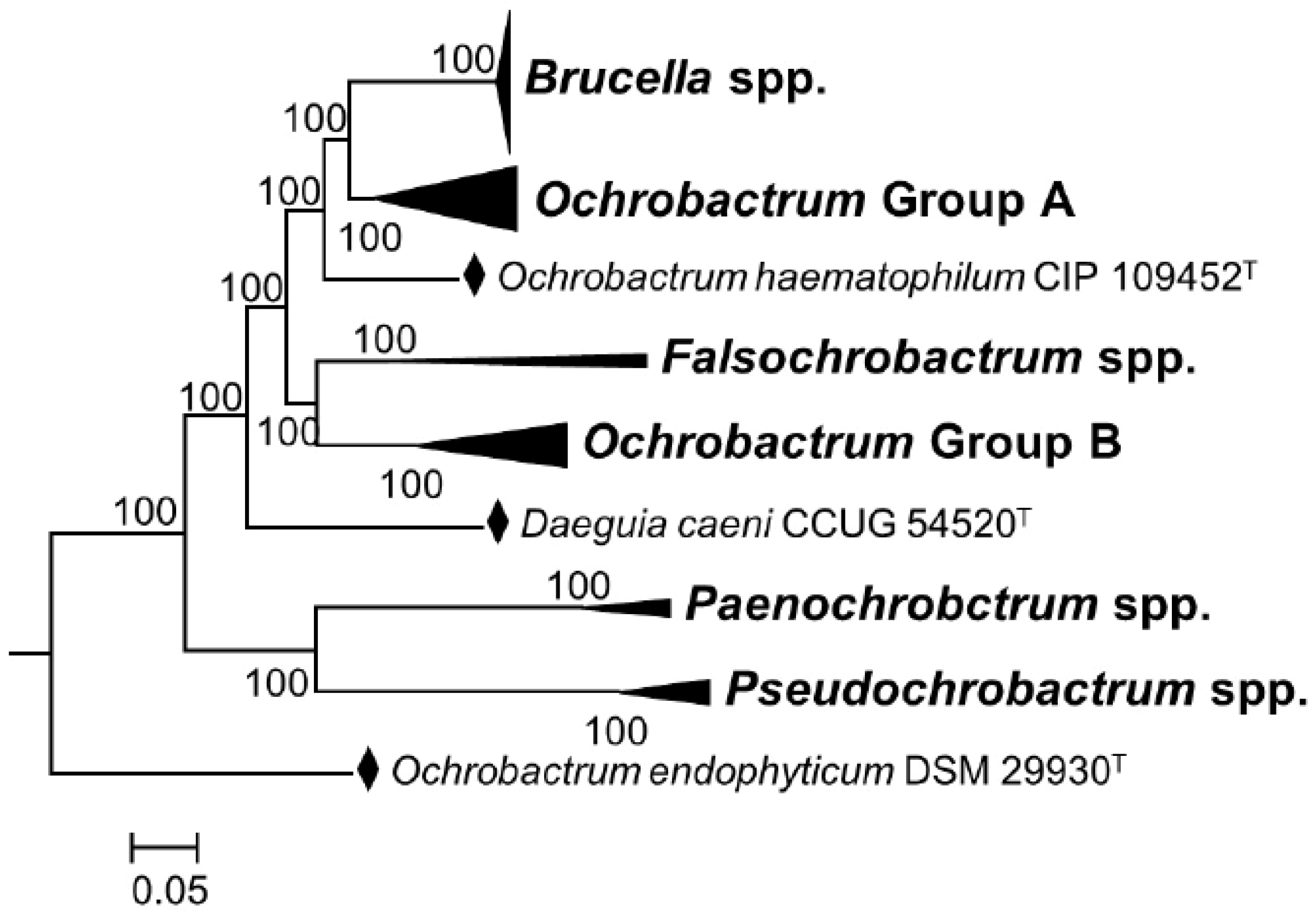 Pathogens 11 00377 g001 Pathogens 11 00377 g001