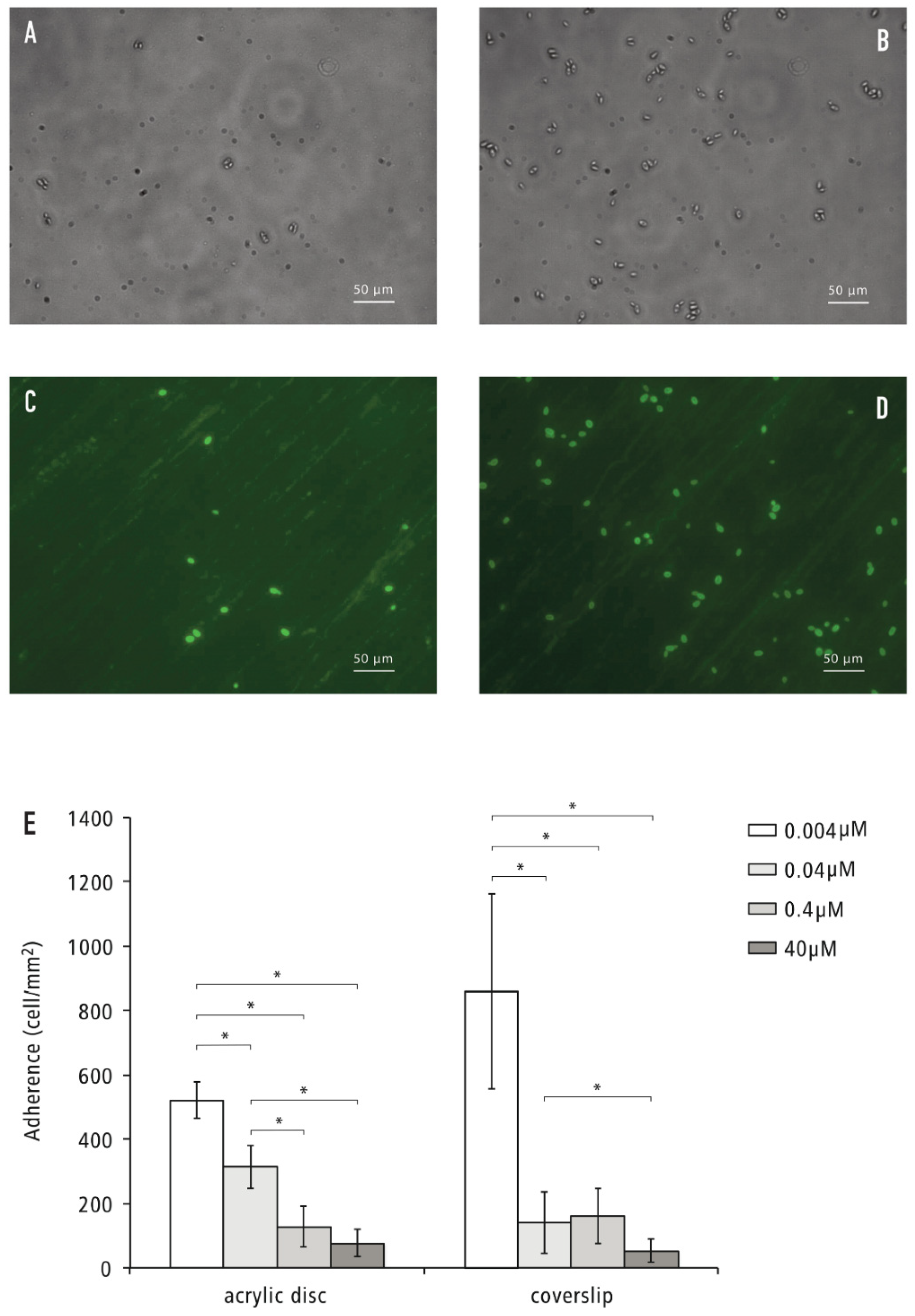 Pathogens 11 00387 g002