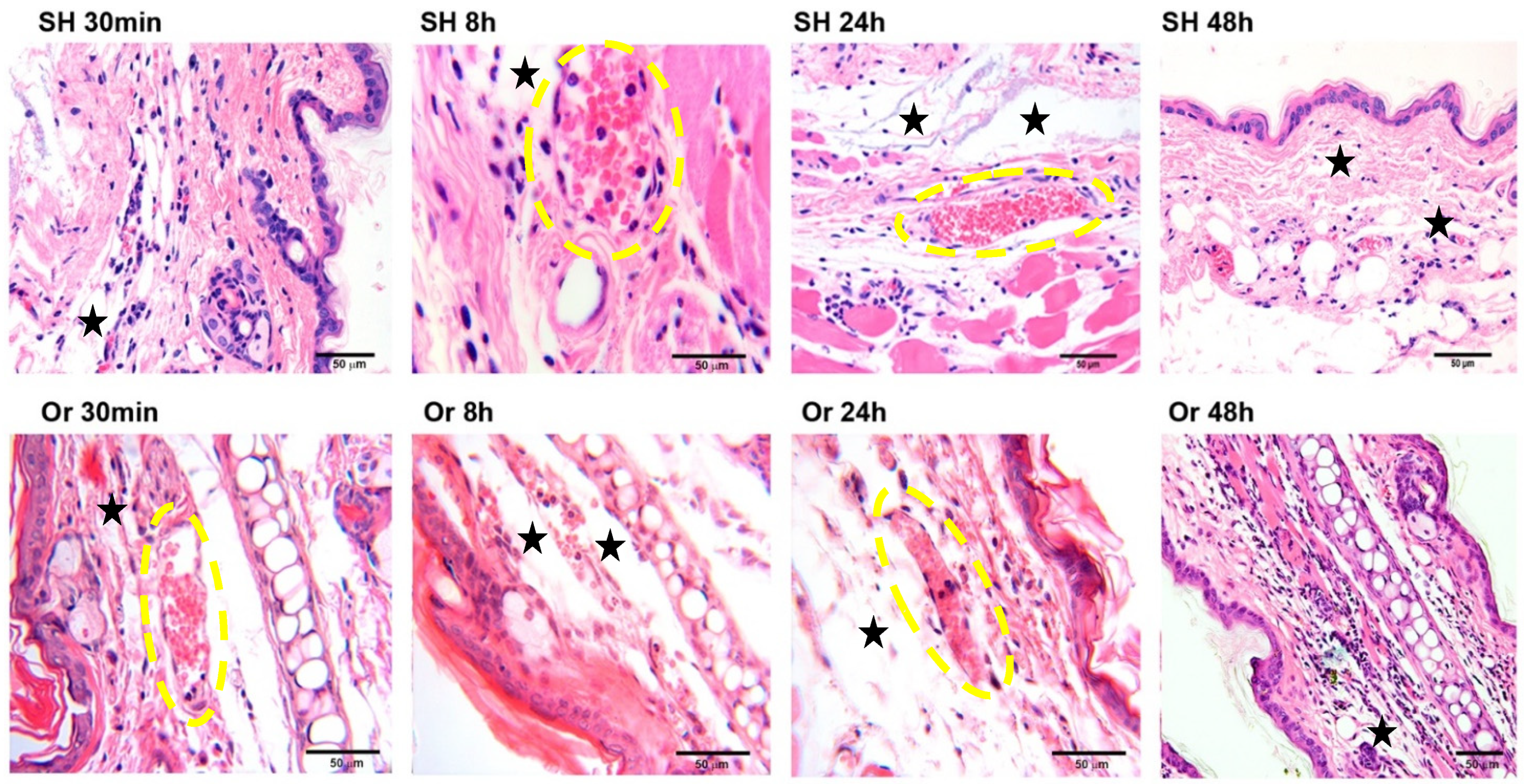 Pathogens 11 00398 g001
