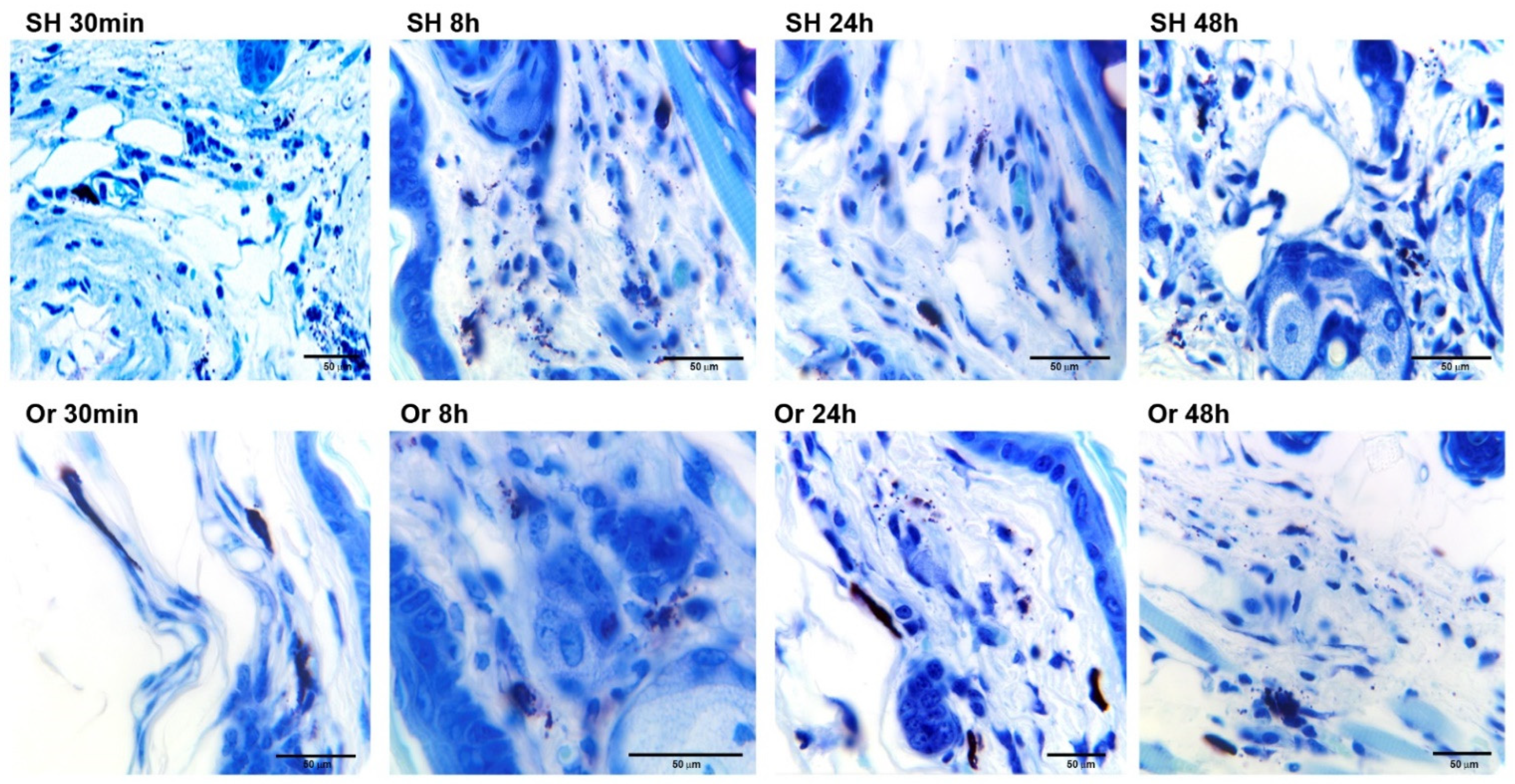 Pathogens 11 00398 g003