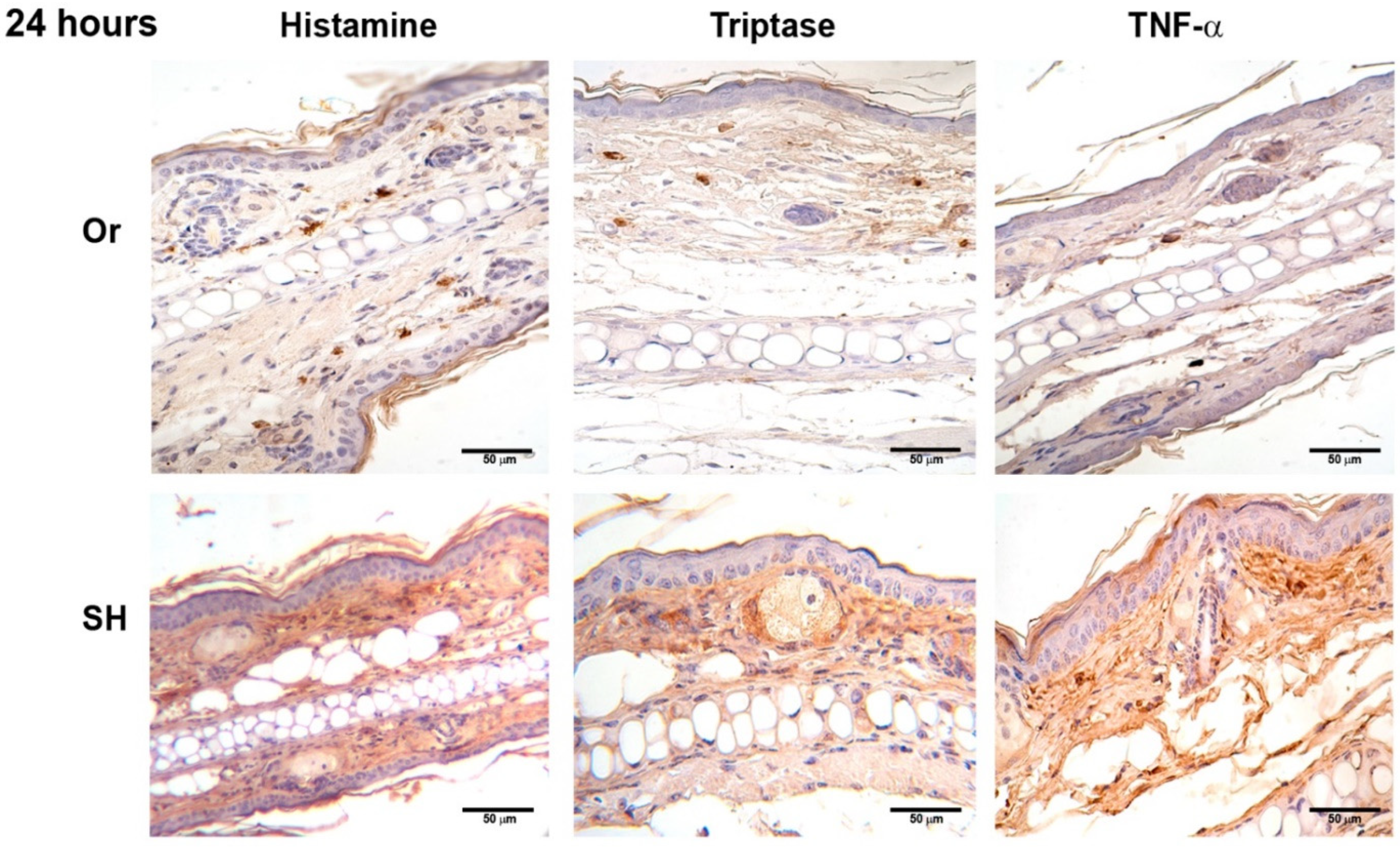 Pathogens 11 00398 g005