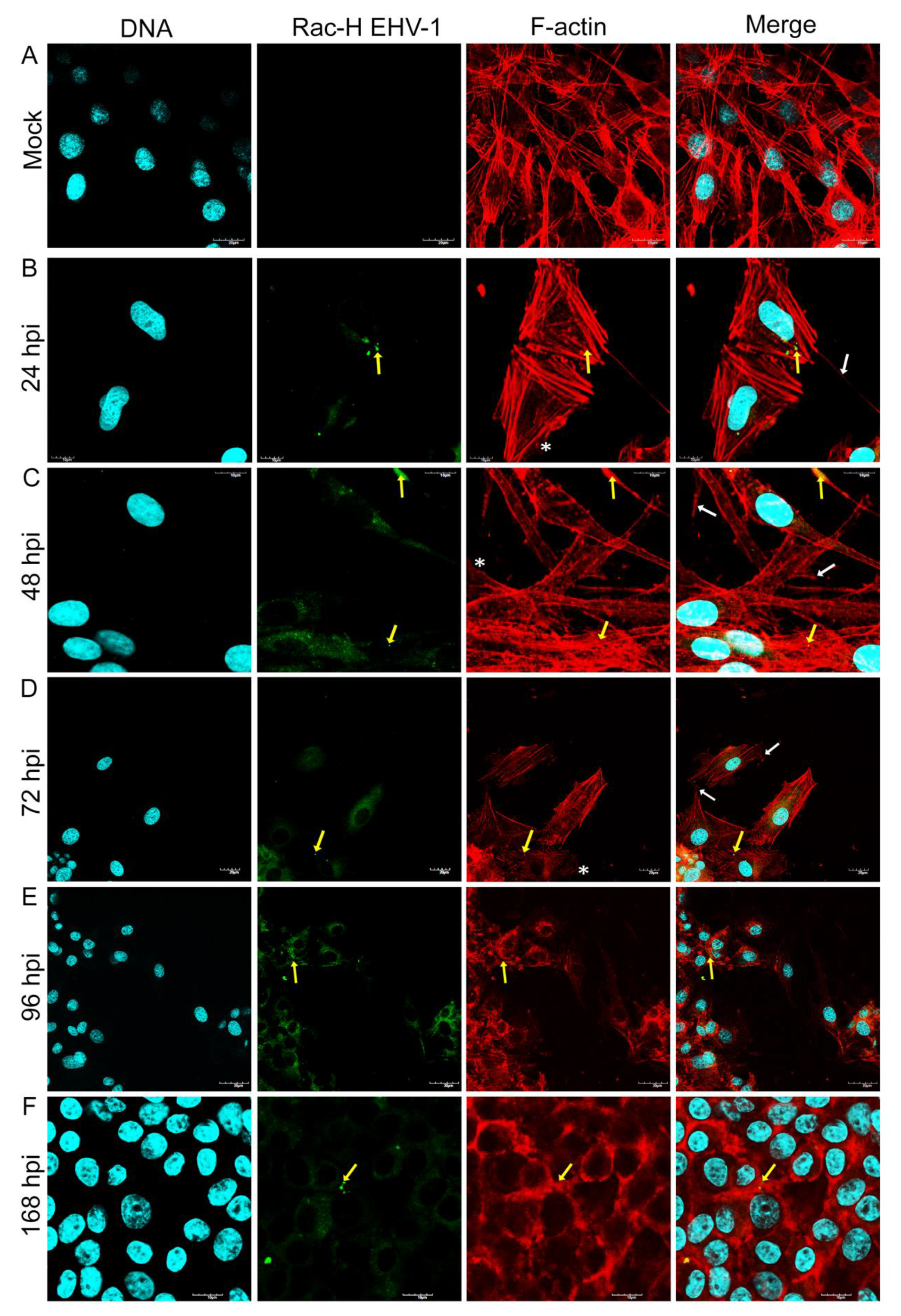 Pathogens 11 00400 g003