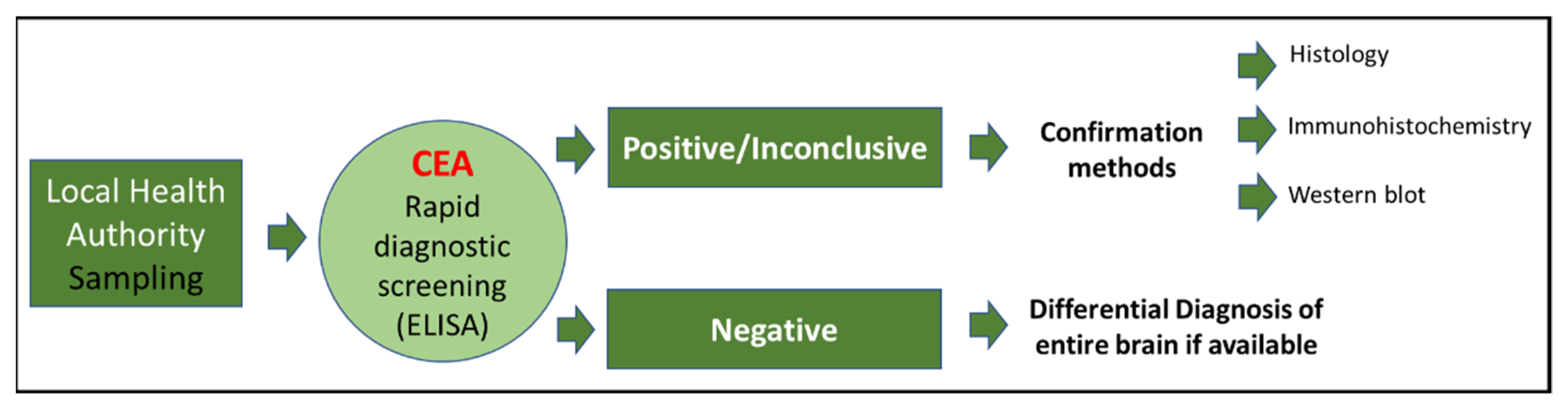 Pathogens 11 00401 g002