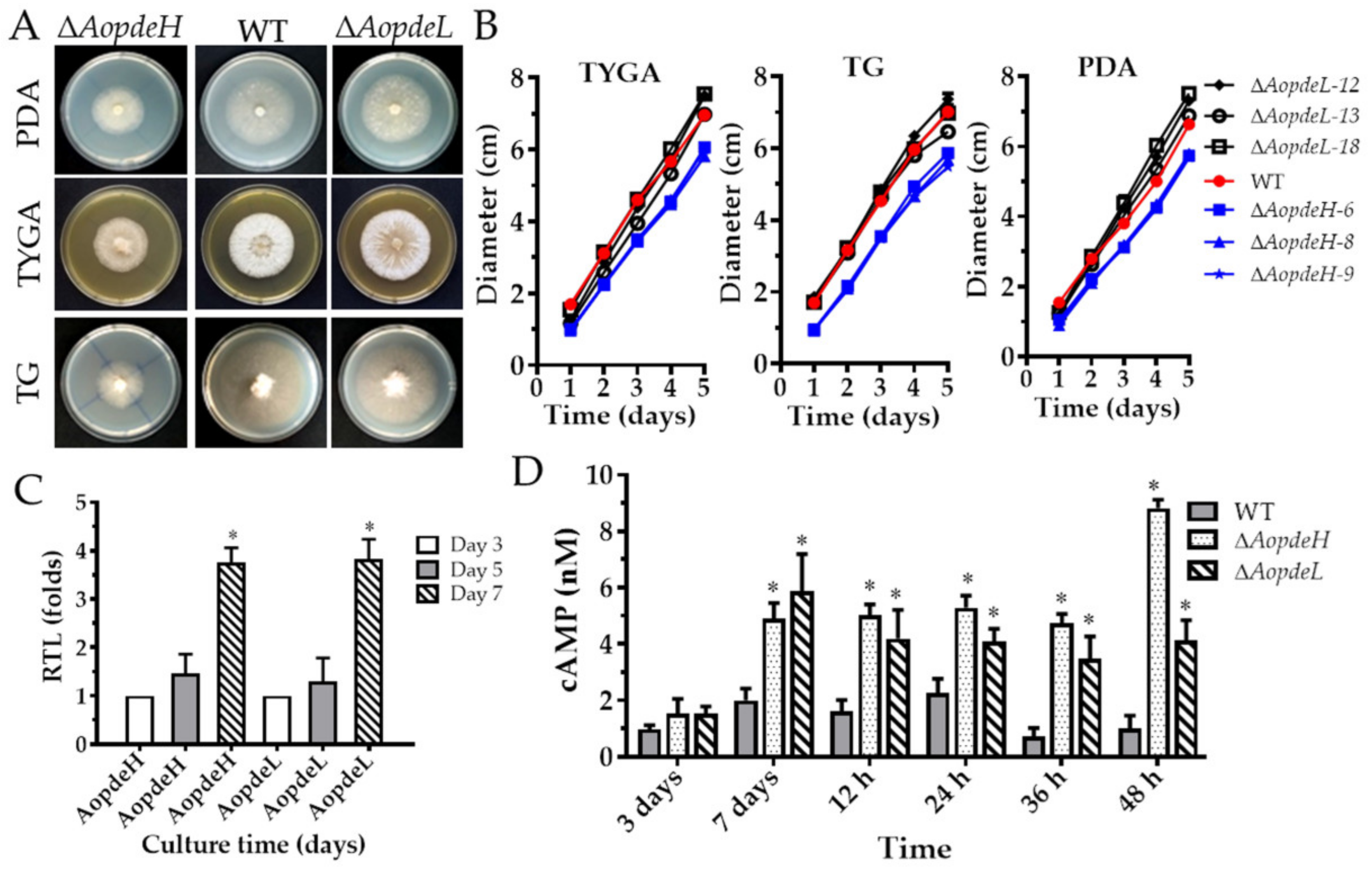 Pathogens 11 00405 g001 550