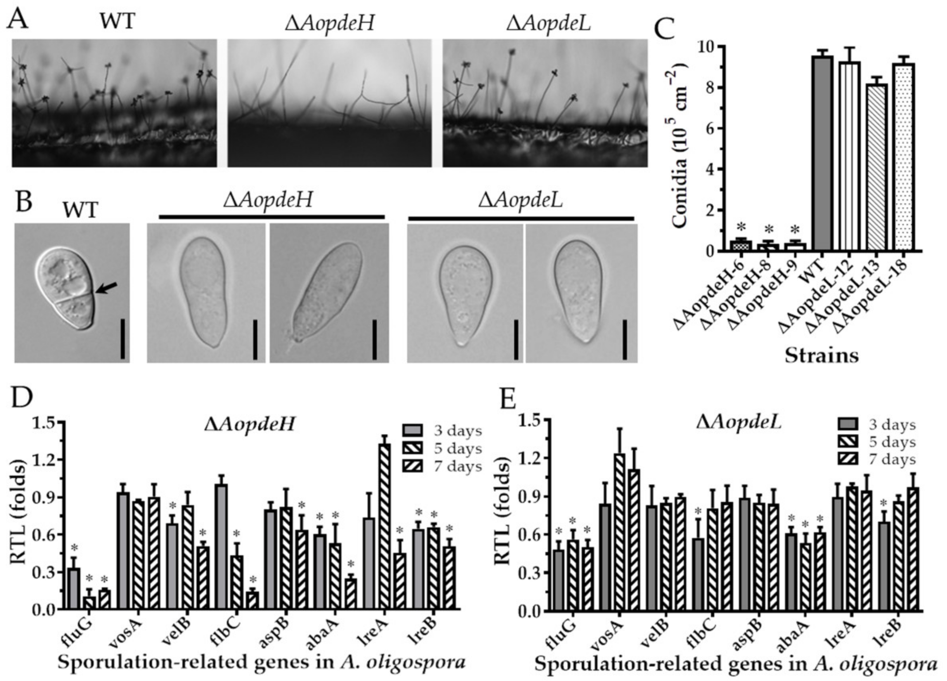 Pathogens 11 00405 g003 550