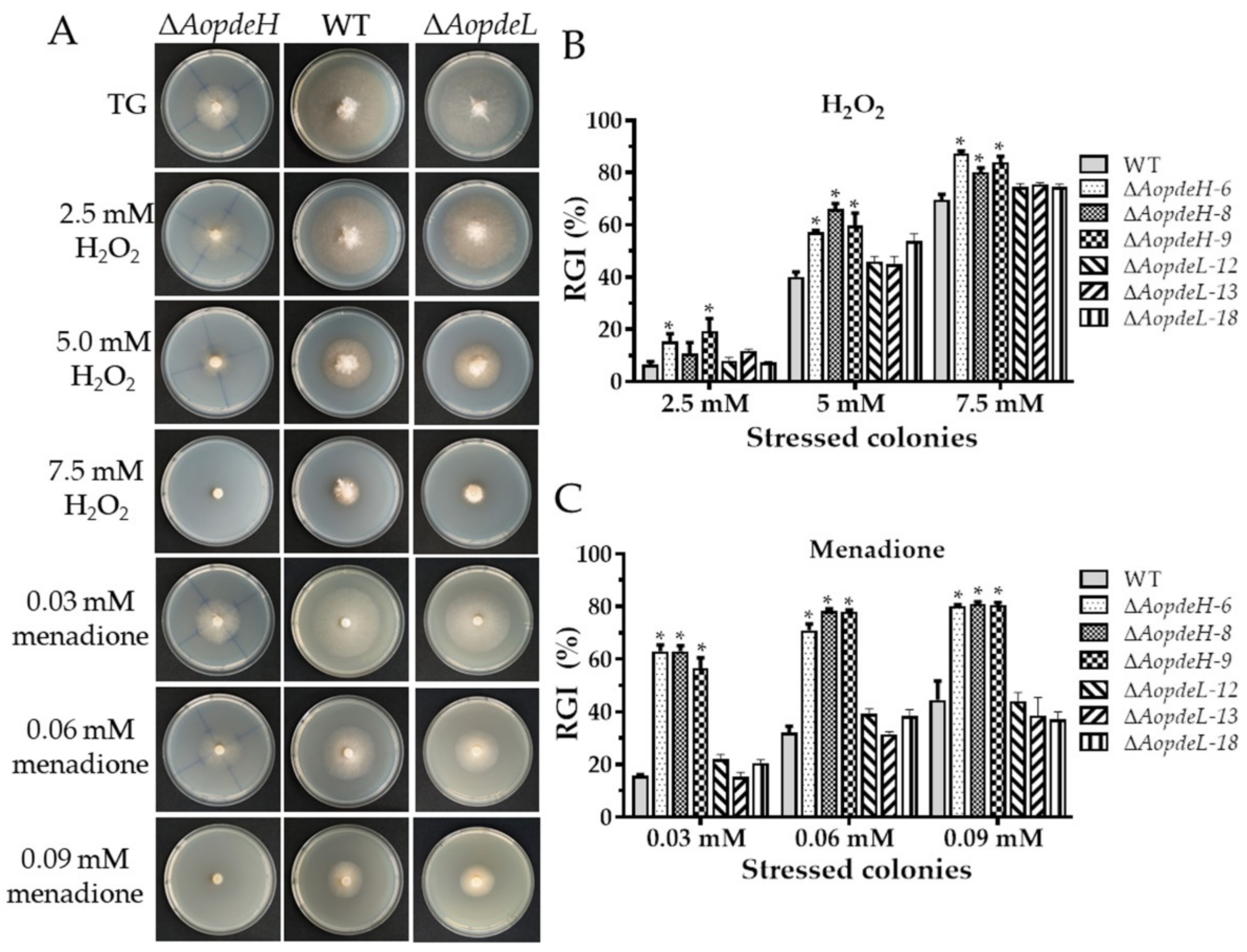 Pathogens 11 00405 g004 550