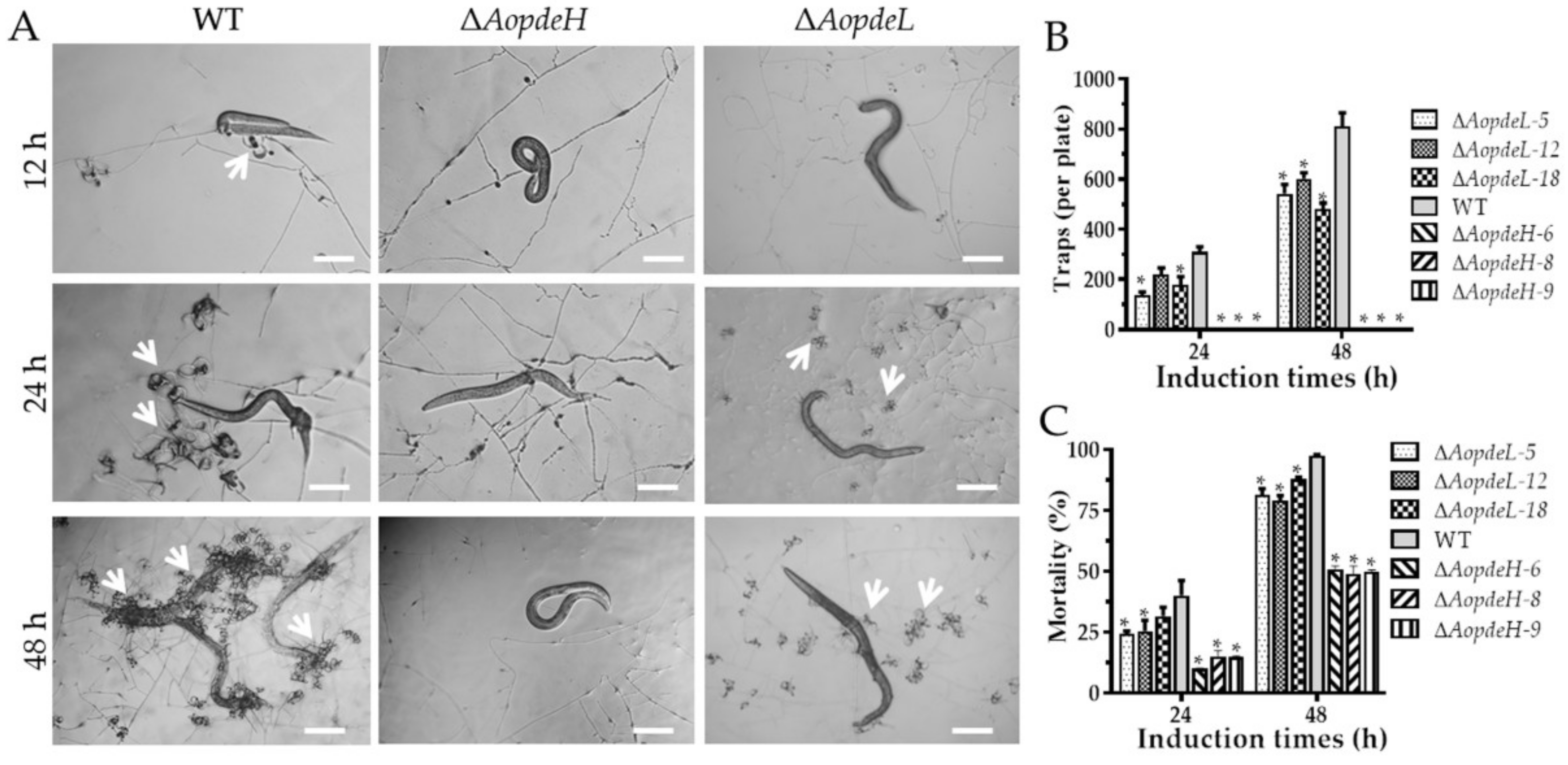Pathogens 11 00405 g005 550