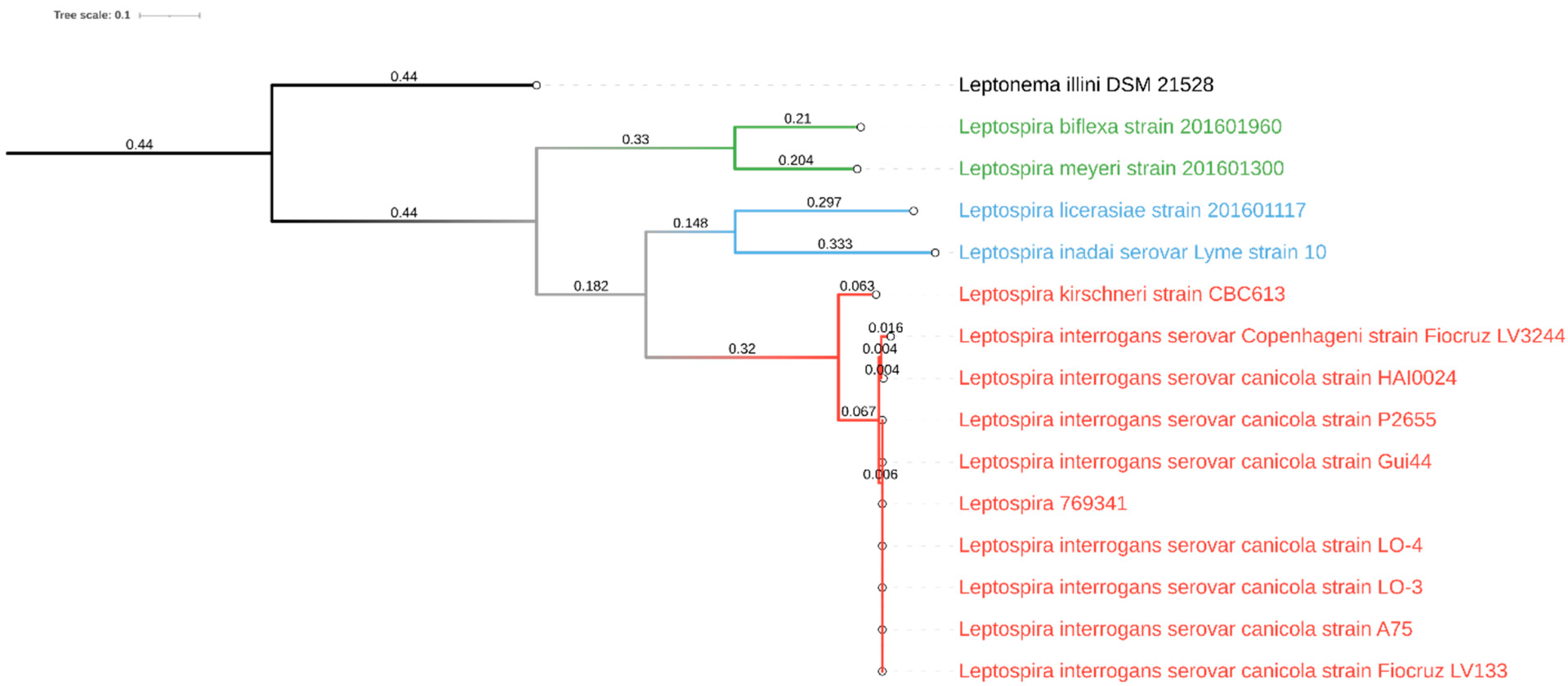 Pathogens 11 00406 g001