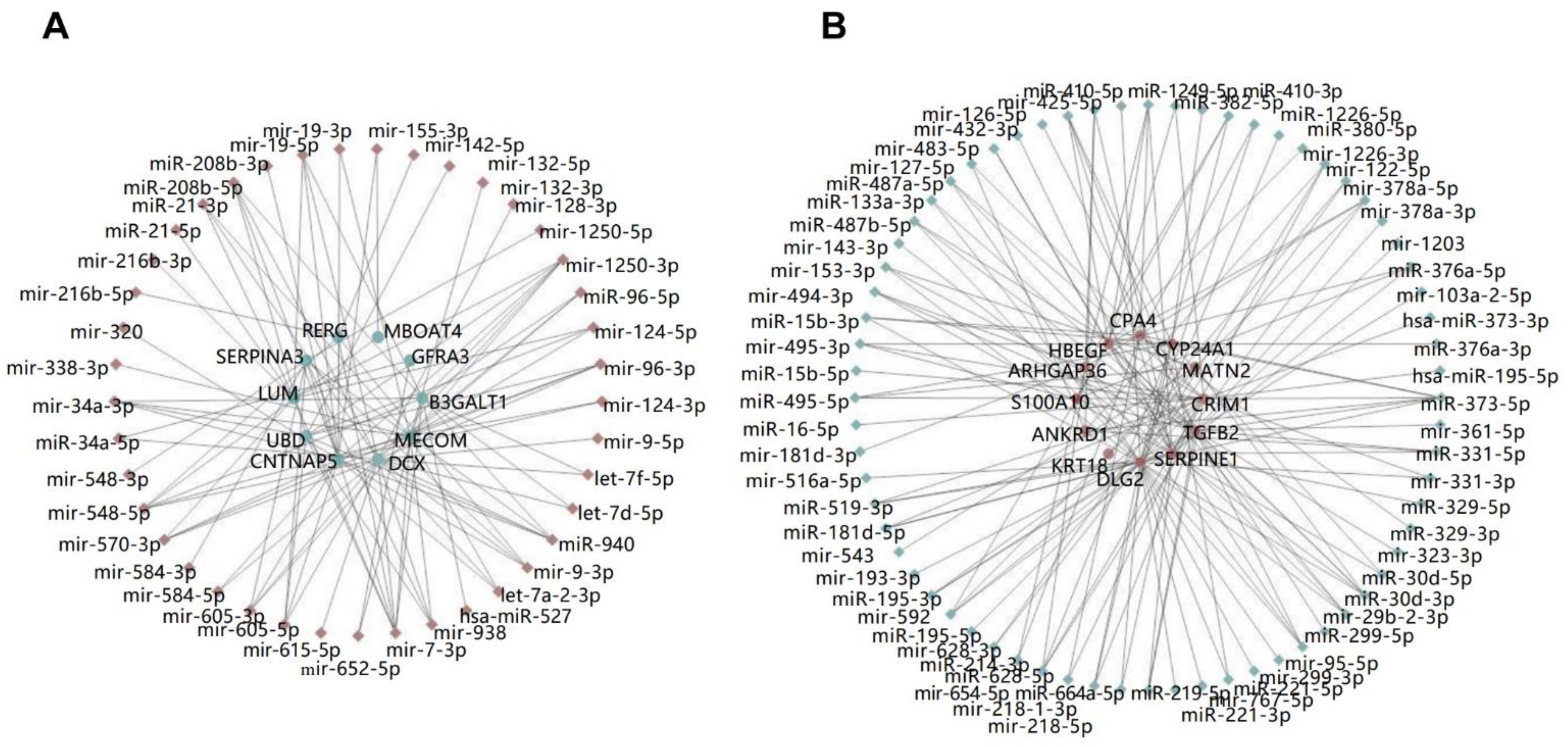Pathogens 11 00407 g003 Pathogens 11 00407 g003