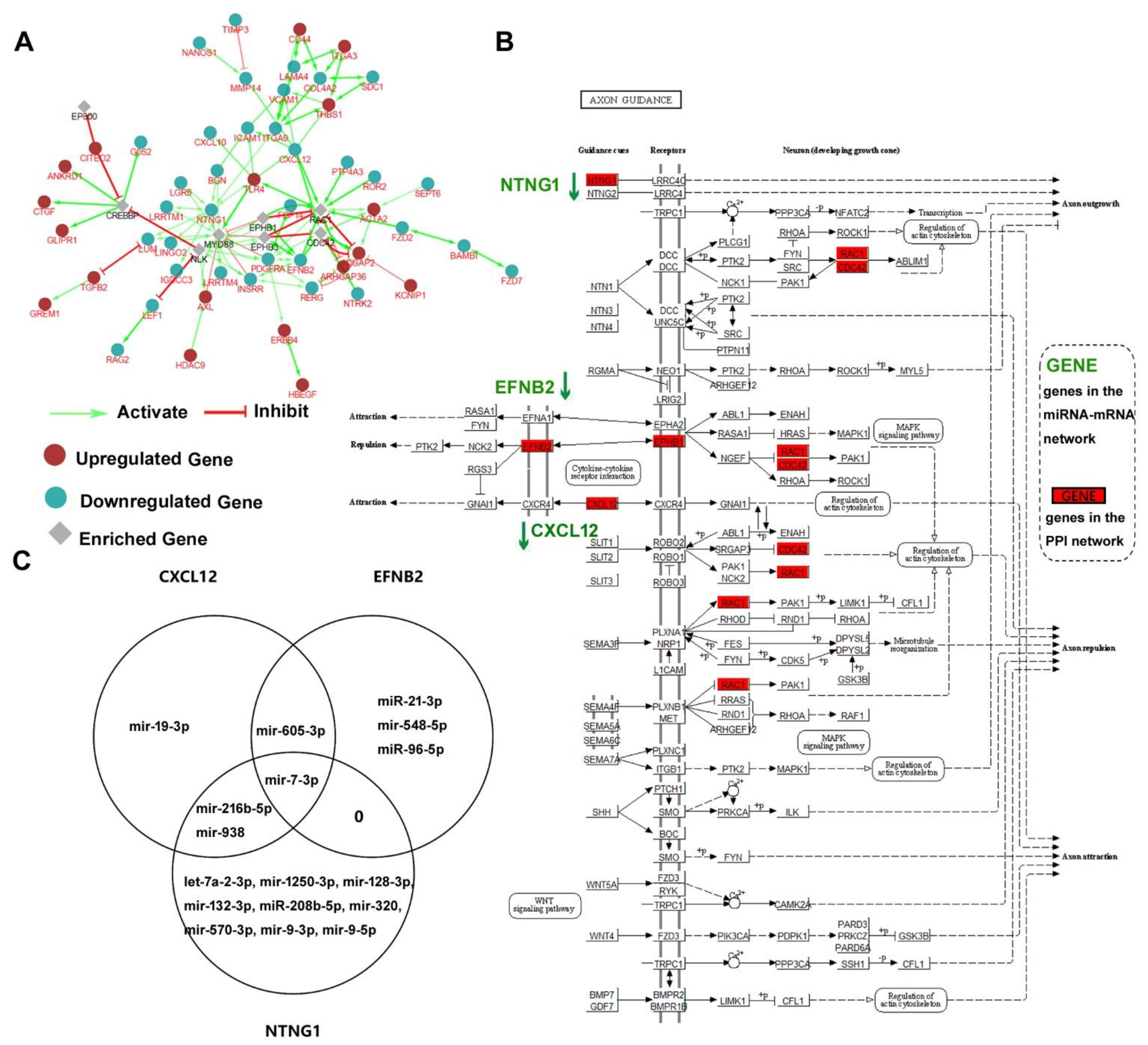 Pathogens 11 00407 g004 Pathogens 11 00407 g004