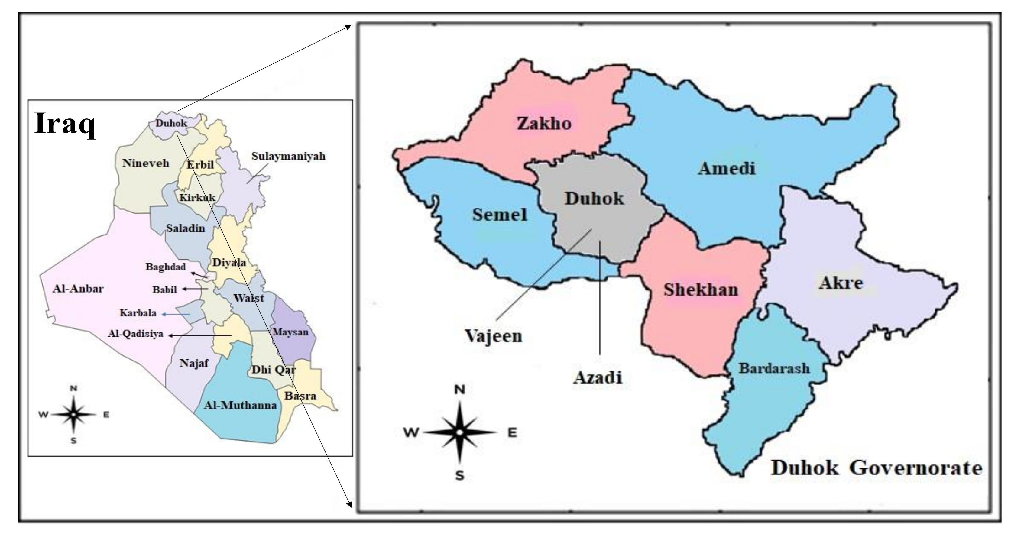 Pathogens 11 00408 g001