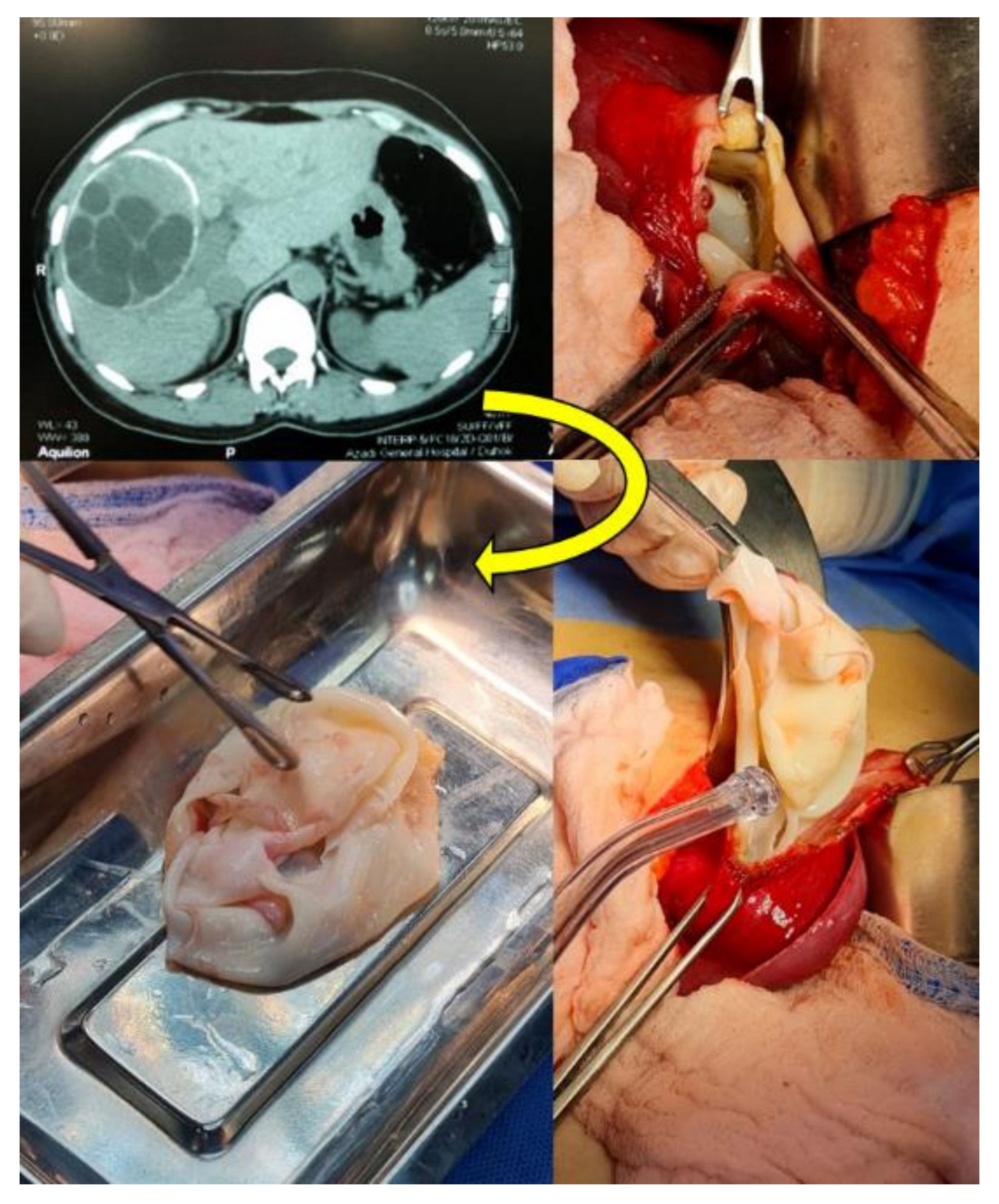 Pathogens 11 00408 g002