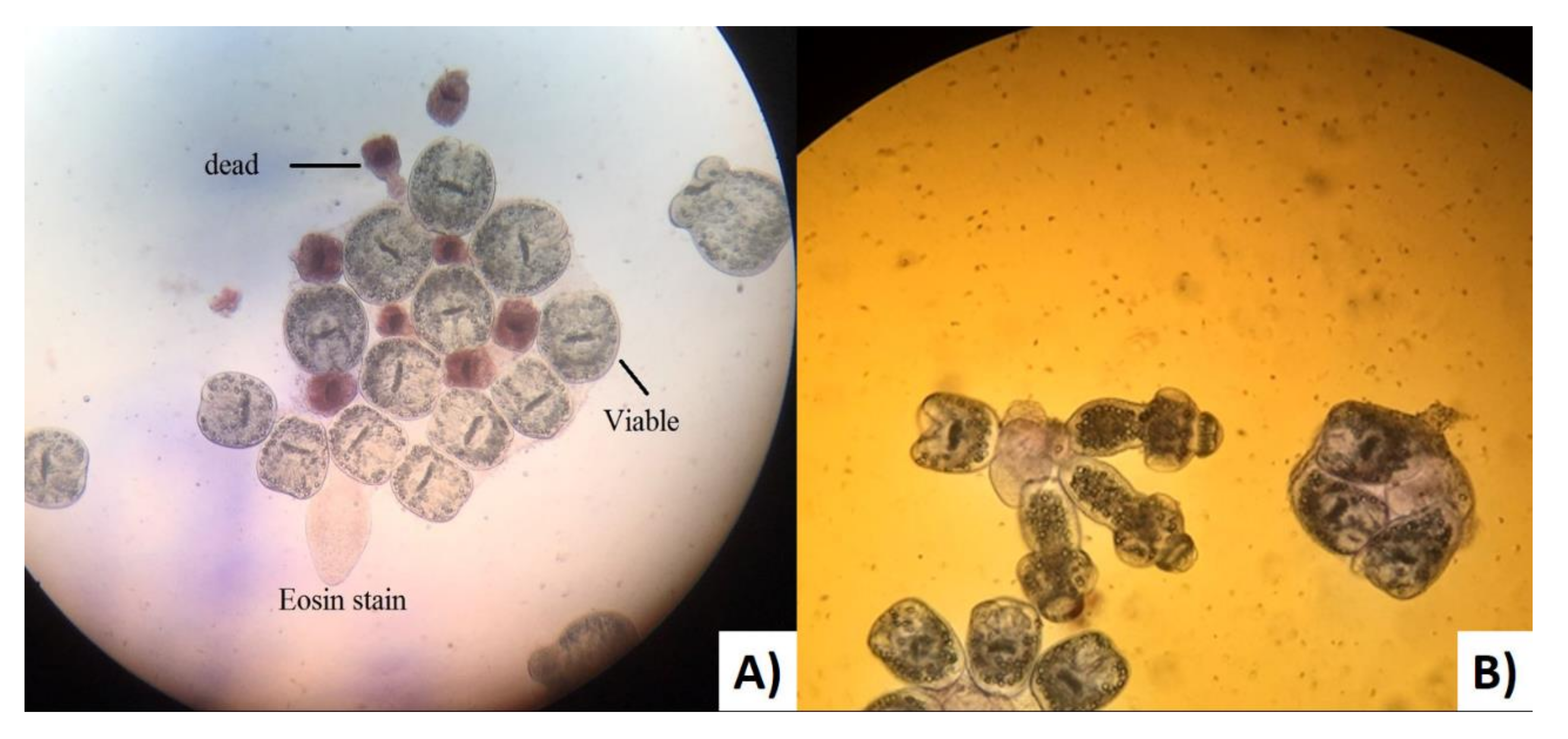Pathogens 11 00408 g003