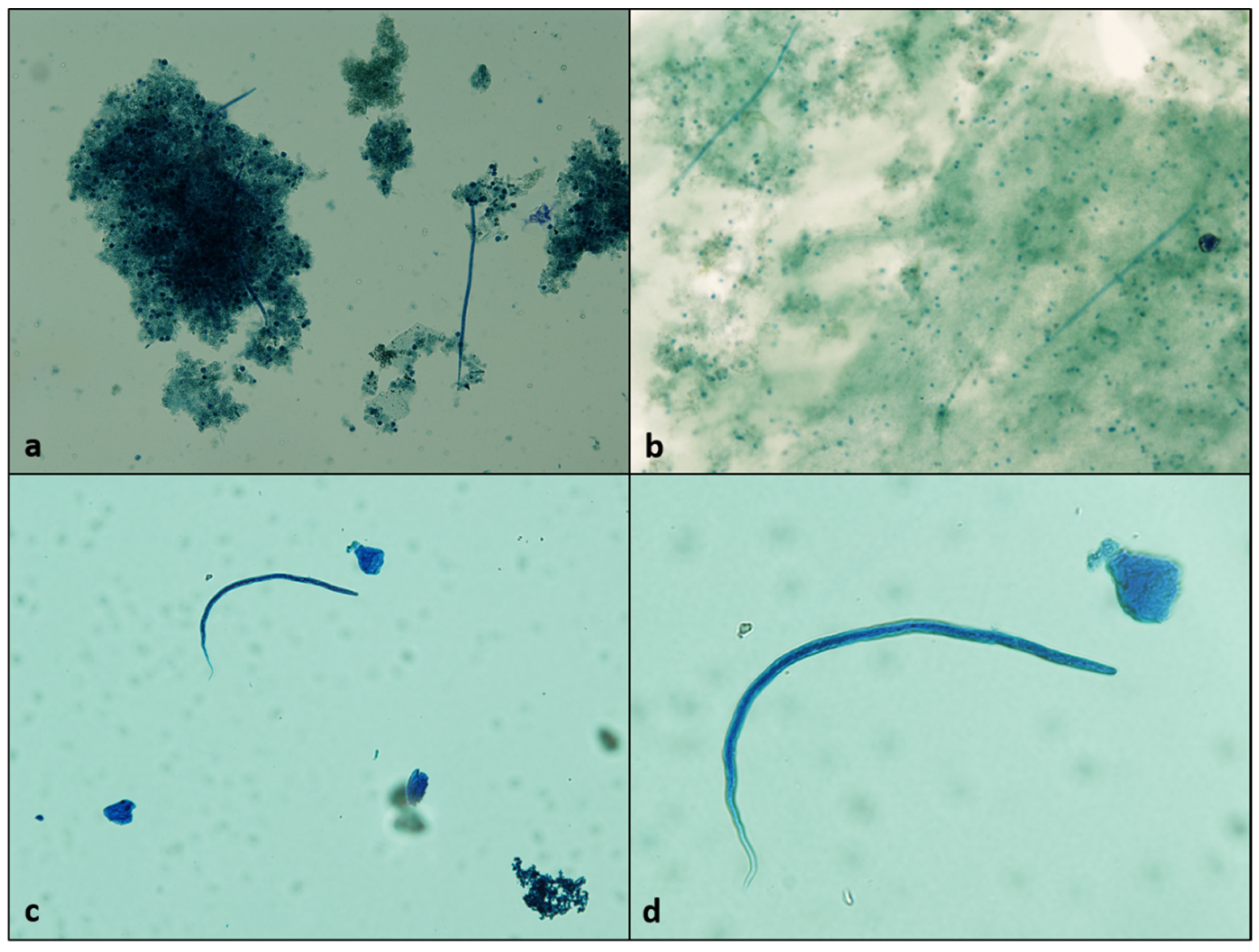 Pathogens 11 00420 g002 550
