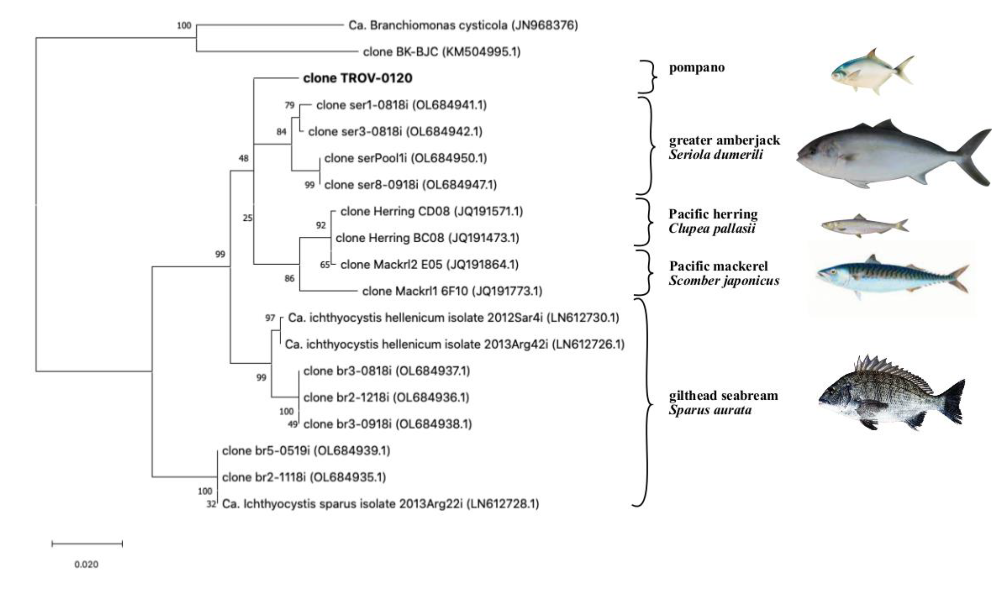Pathogens 11 00421 g003